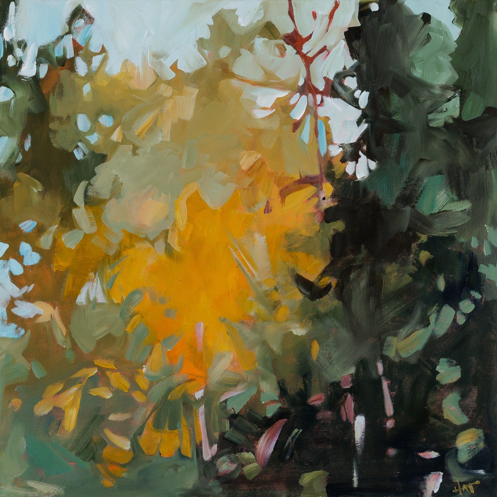 Holly Ann Friesen