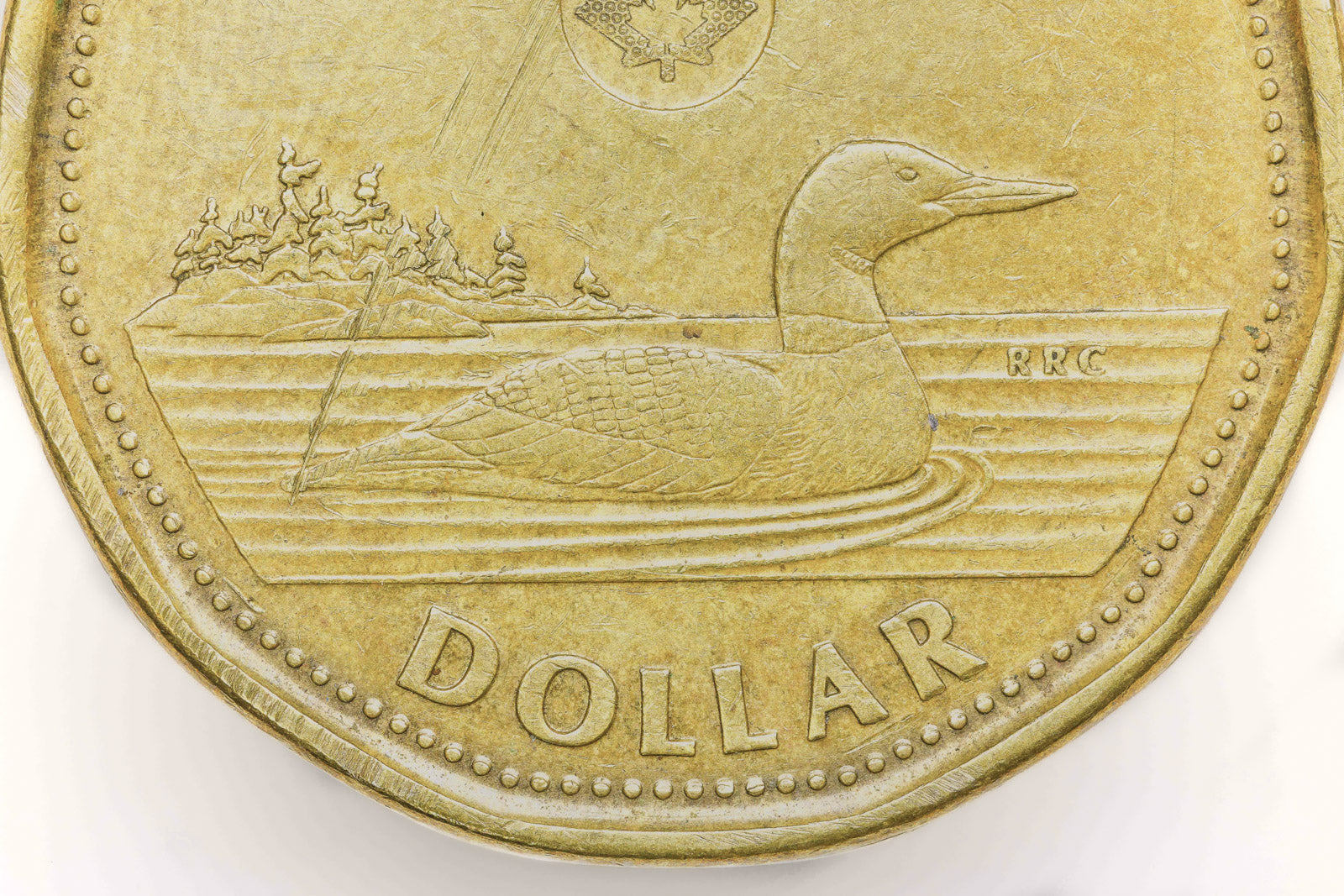 Loonie