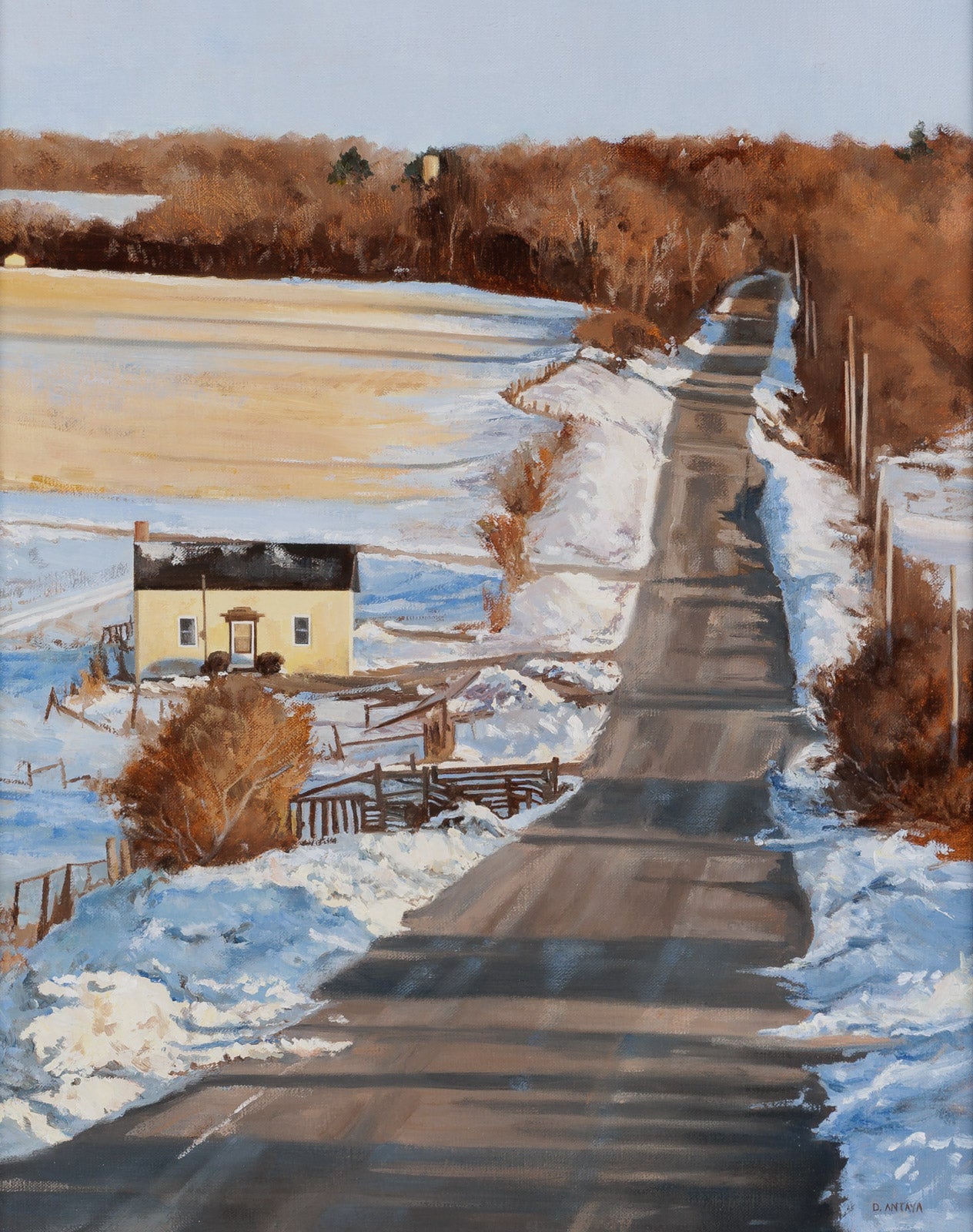 The Ninth Concession