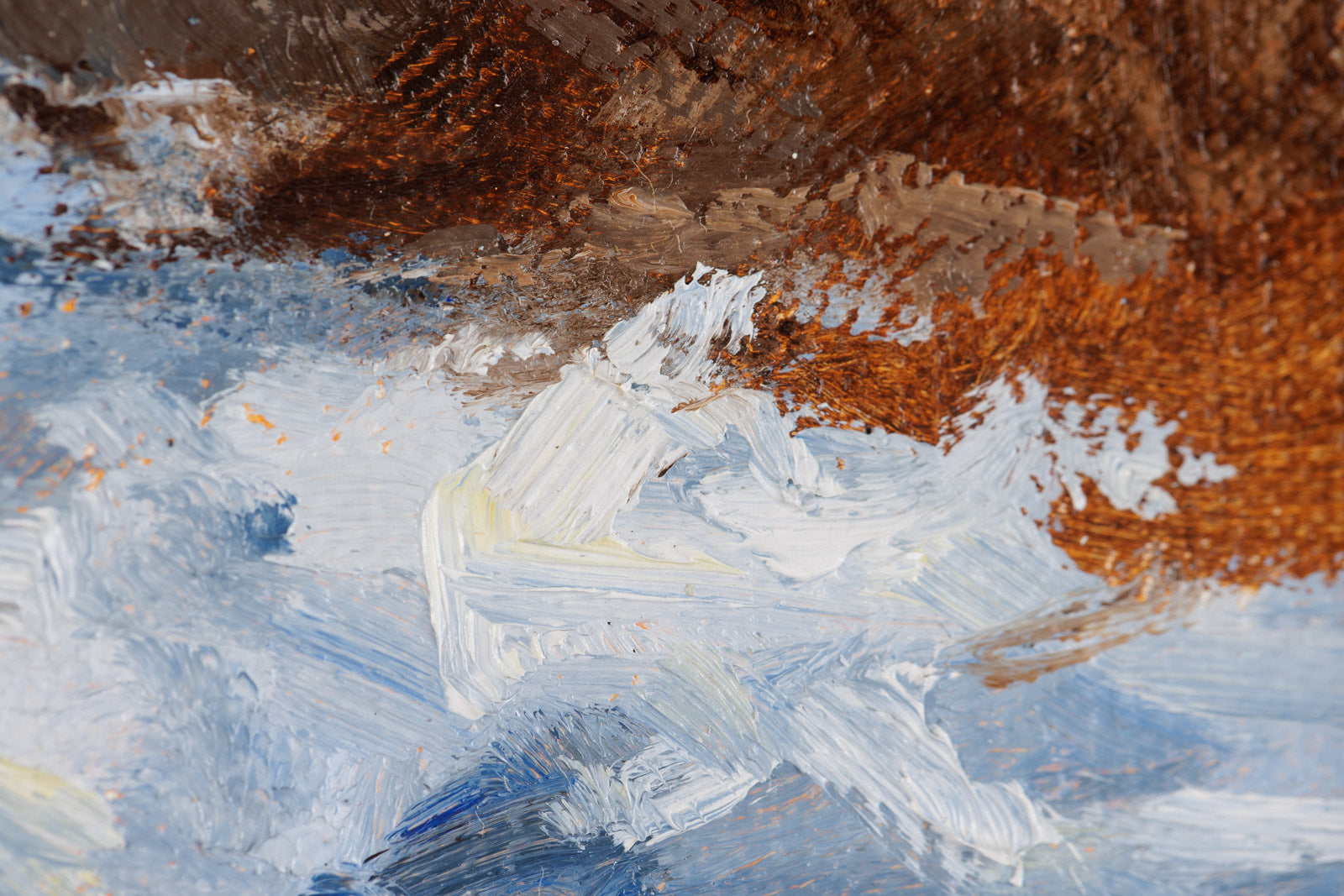 The Ninth Concession