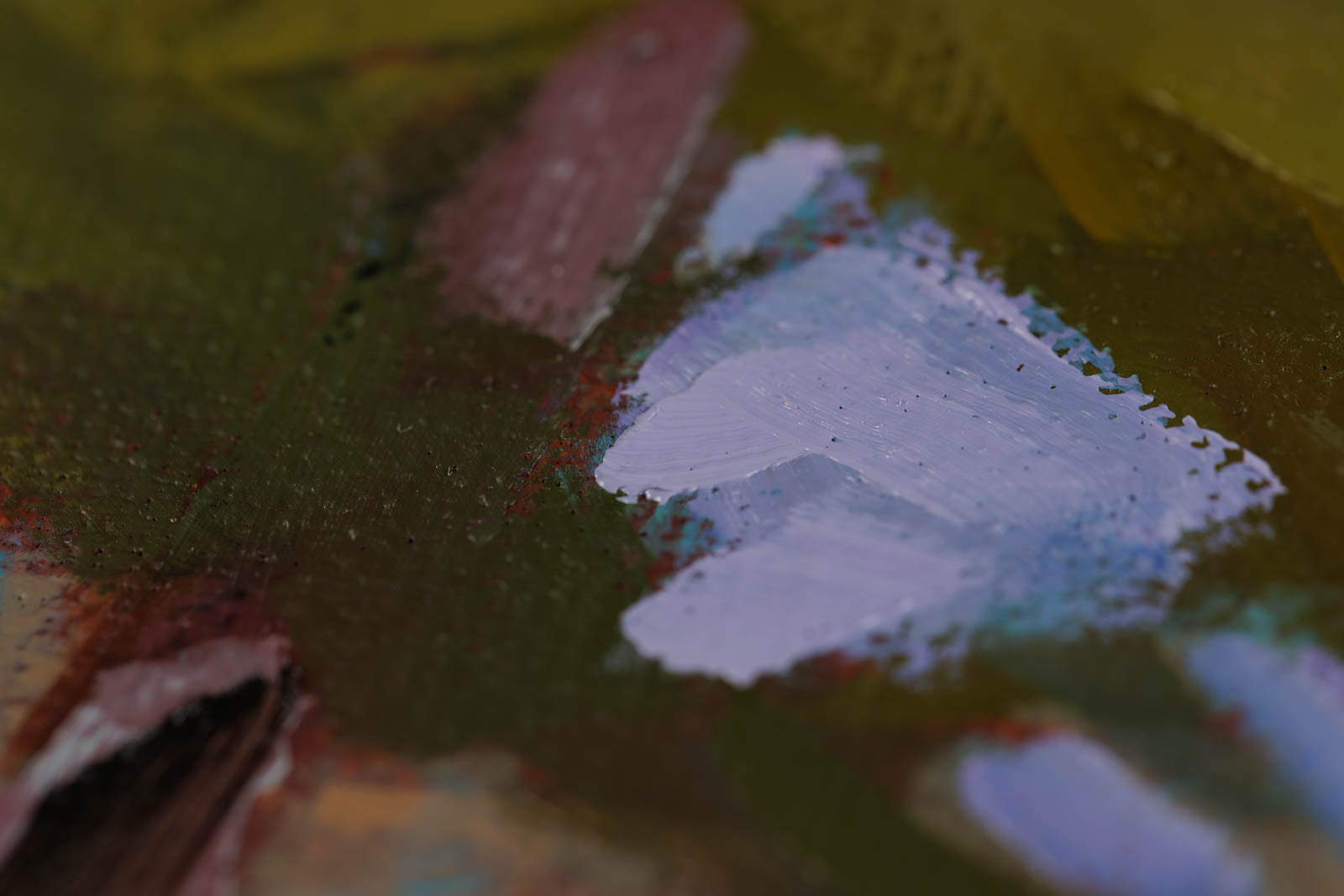 Andrea Ross, "Early Morning Light," detail view, oil on canvas