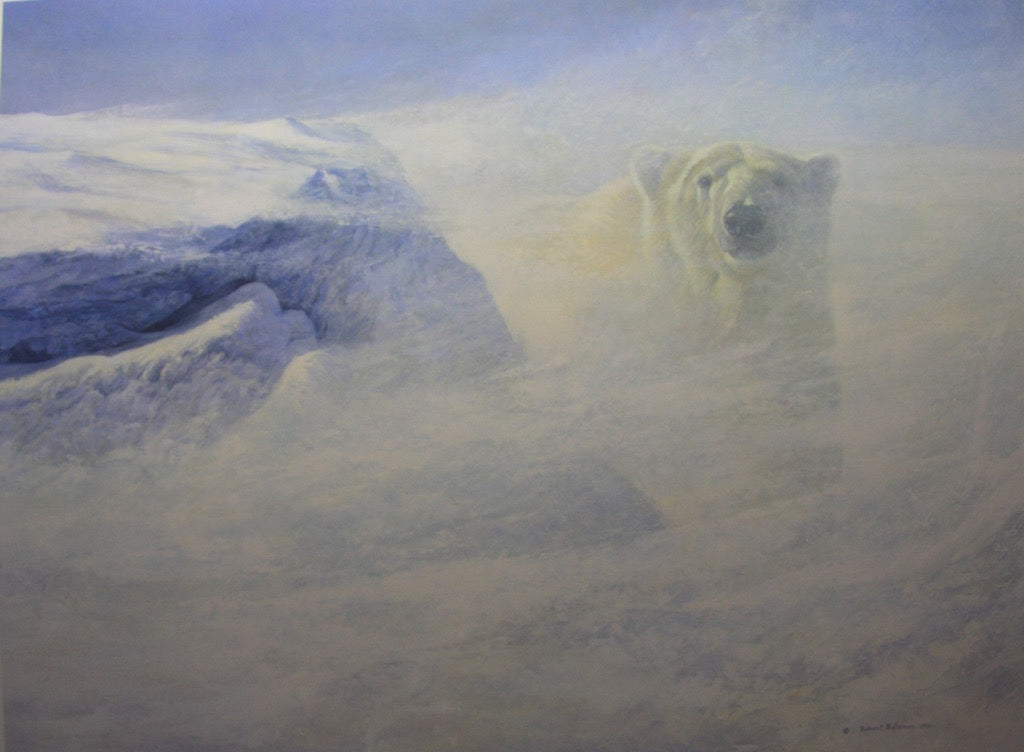 Animals “White Encounter” by Robert Bateman – giclee on paper.