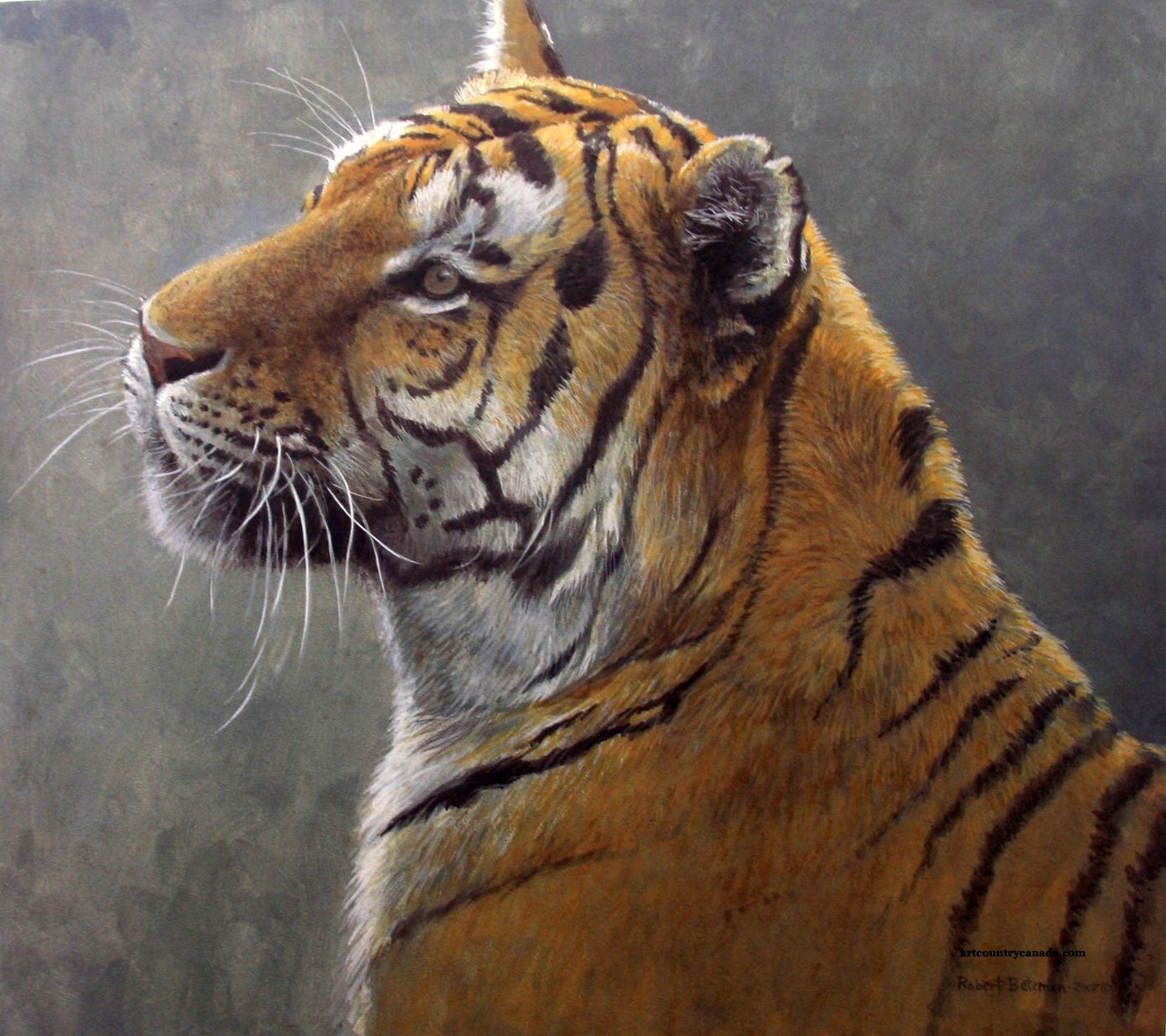 Animals “First Alert” by Robert Bateman – offset lithograph.