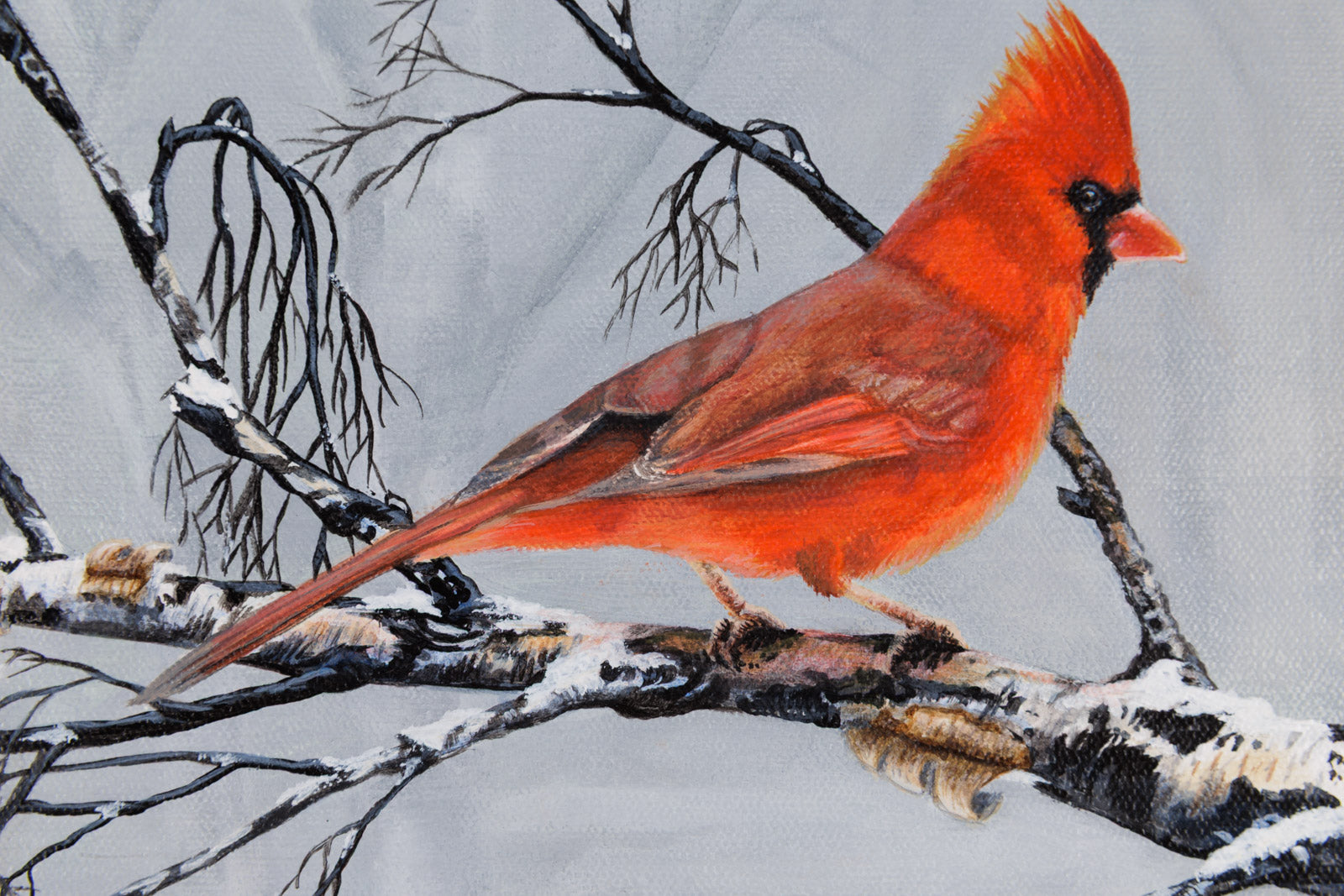 Winter's Red Whisper