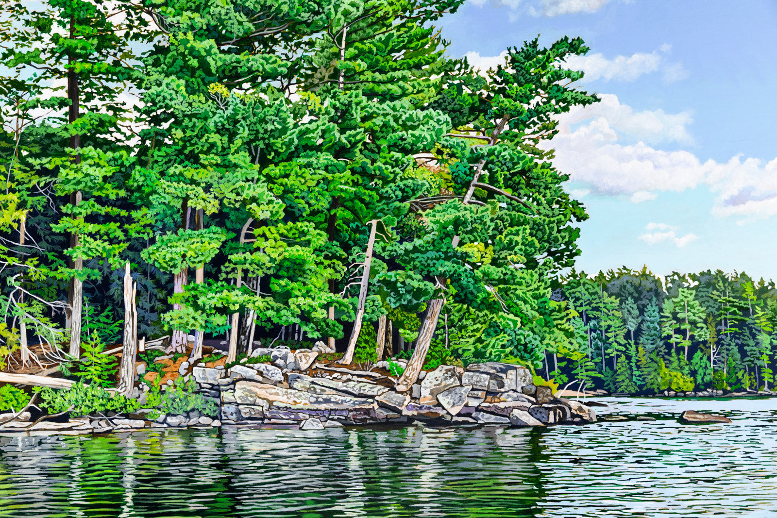 Kelly Lake Shoreline