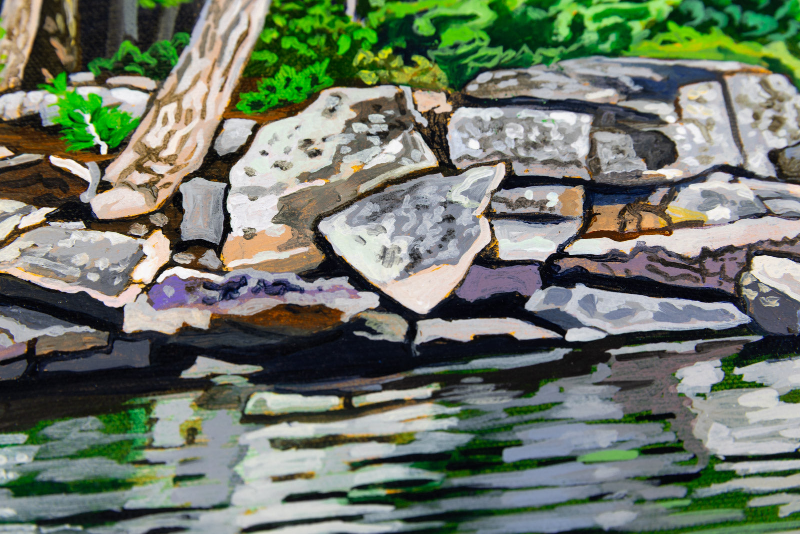 Kelly Lake Shoreline