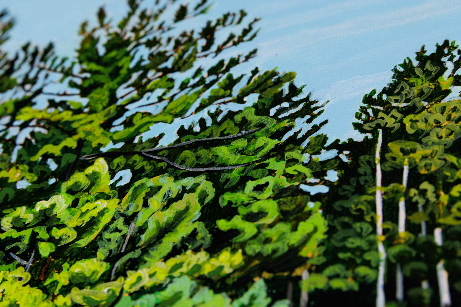 Rocky Rest Stop, Gun Lake