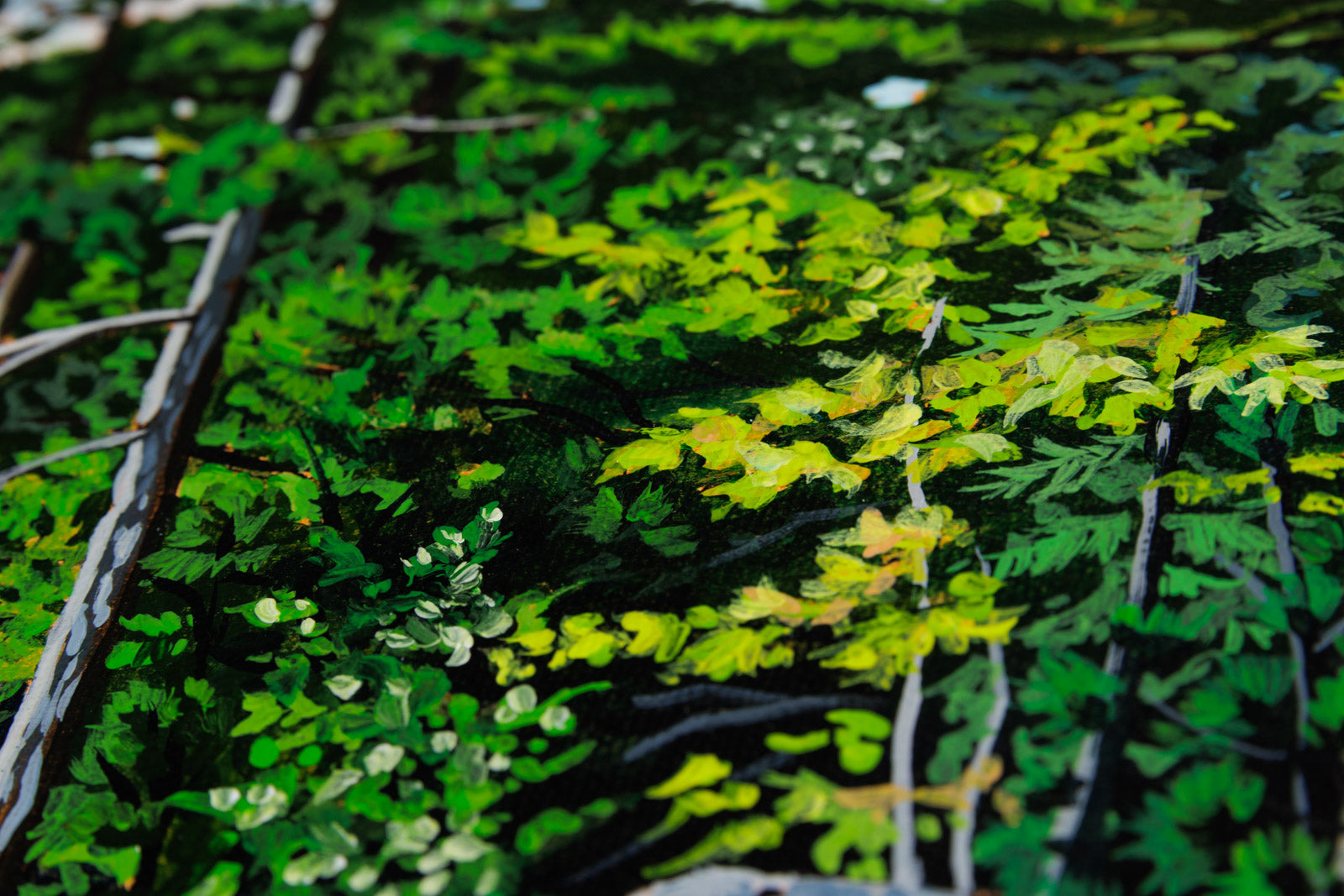 Last Wilderness, Kennisis Lake