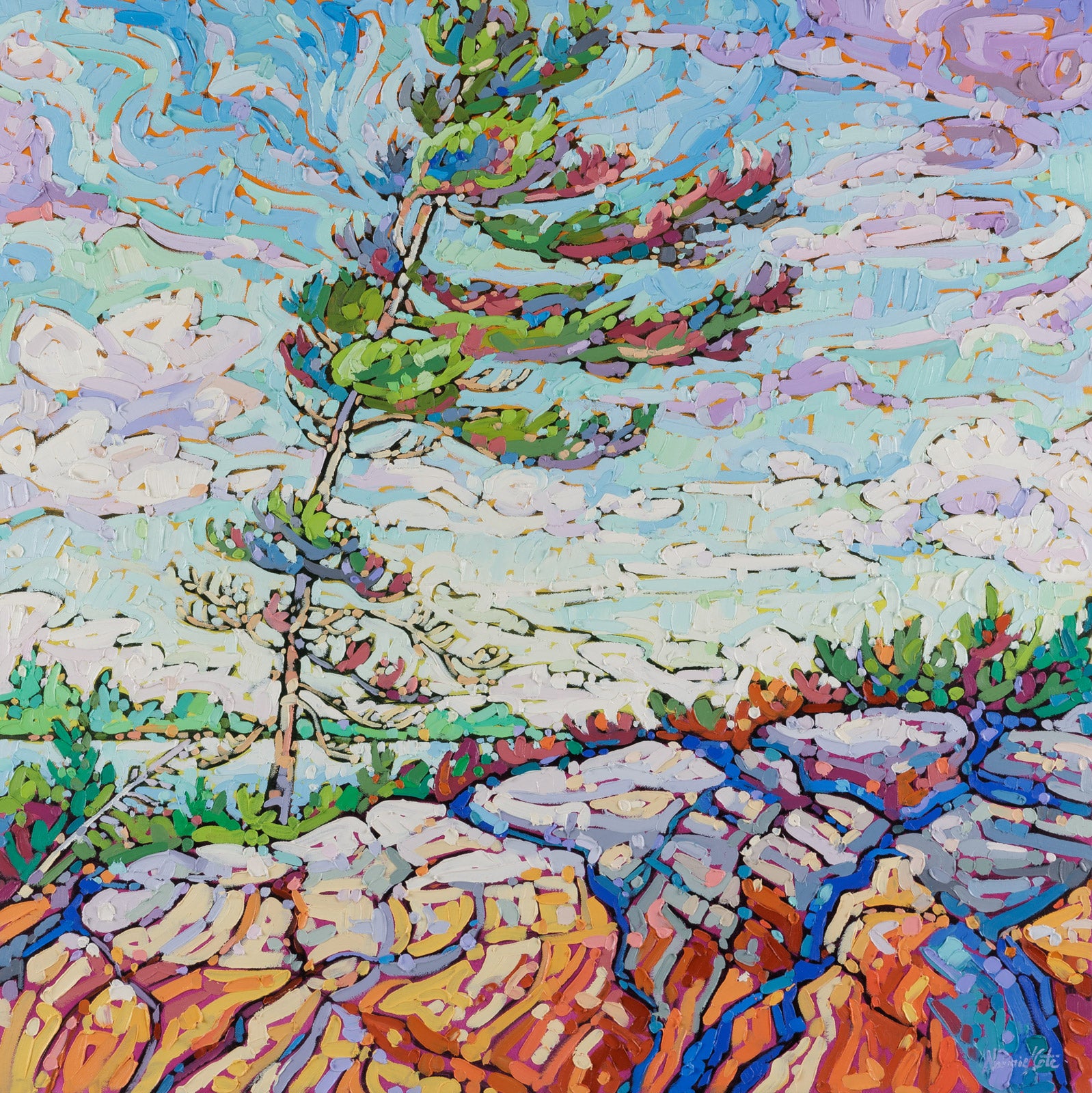 Windswept Pine