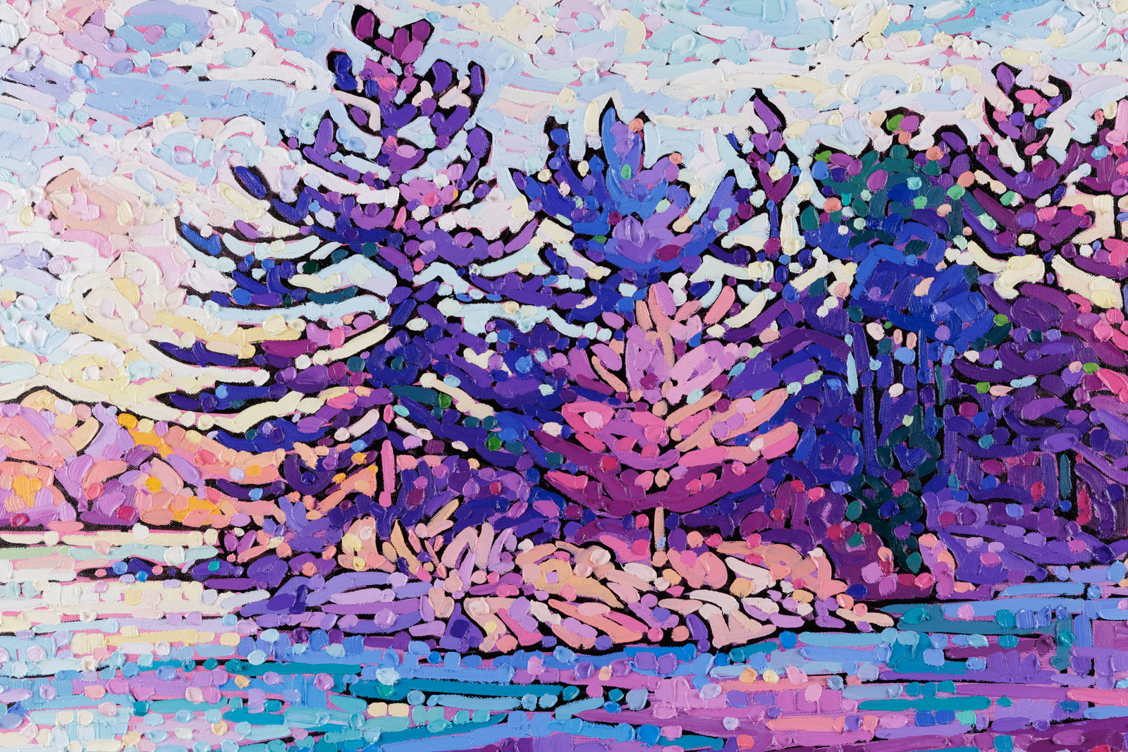 Thousand Islands Embraced In Light