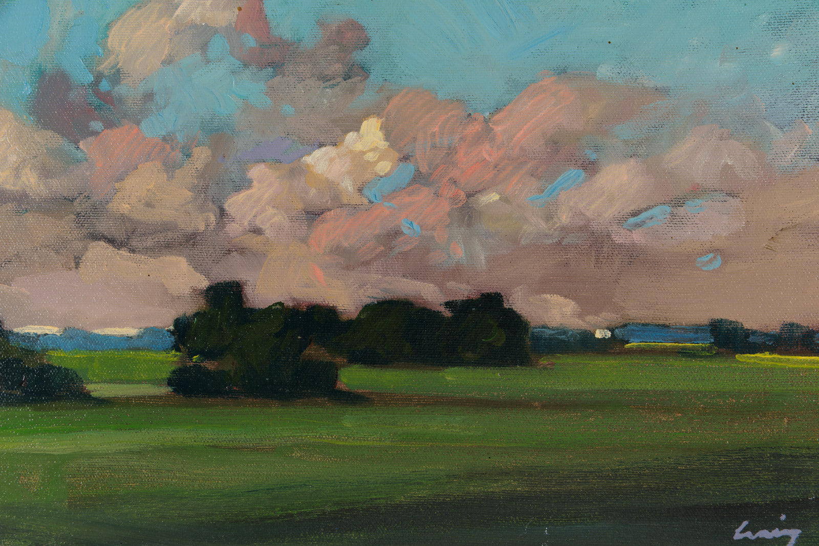 Rosy Skies