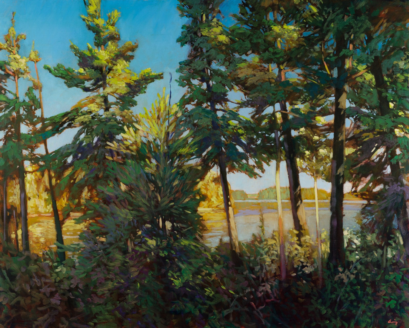 Light Through The Trees