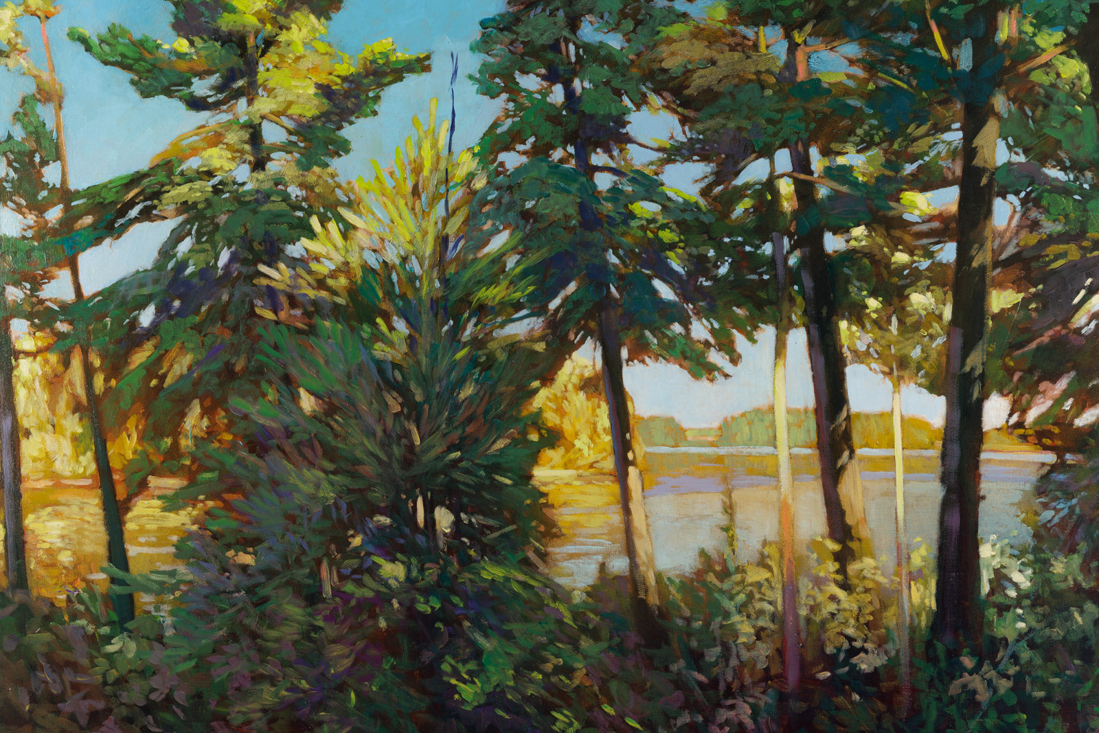 Light Through The Trees