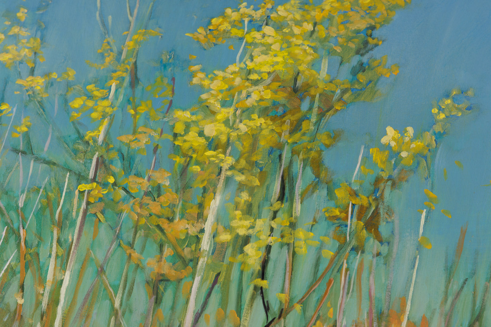 Birch Stand