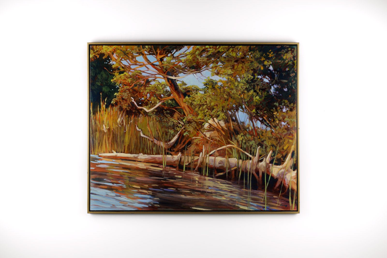 Windswept Trees, Otter Lake