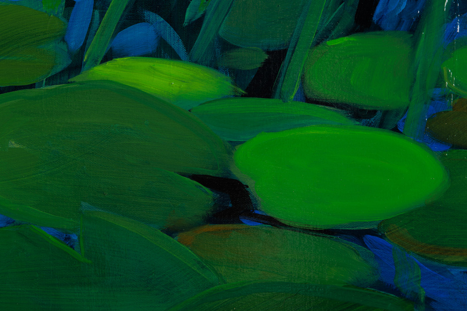 Purple Waterlilies
