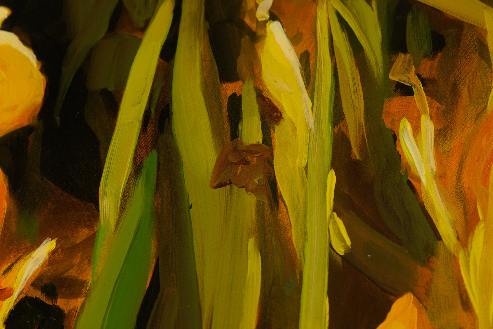 Yellow Irises