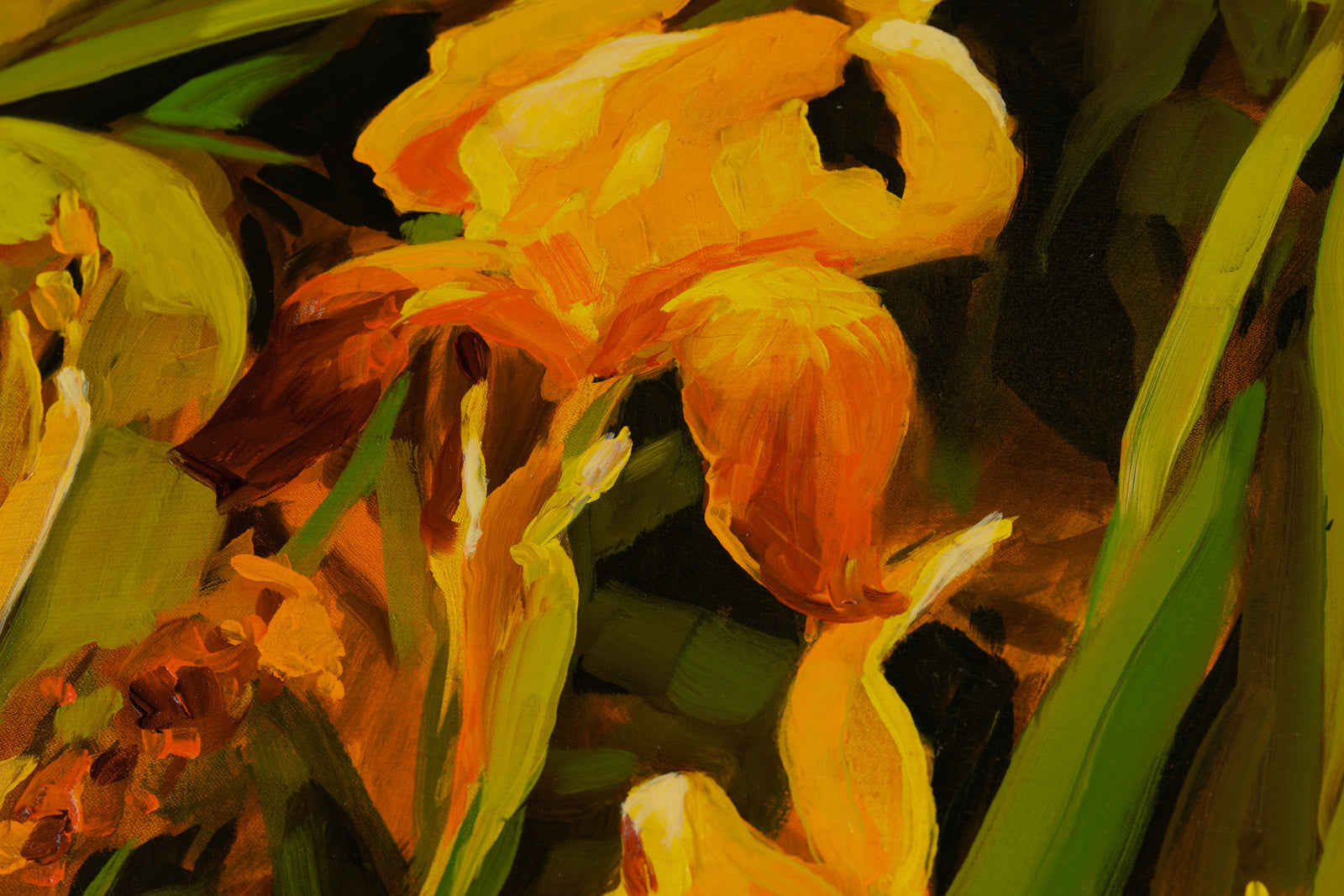 Yellow Irises