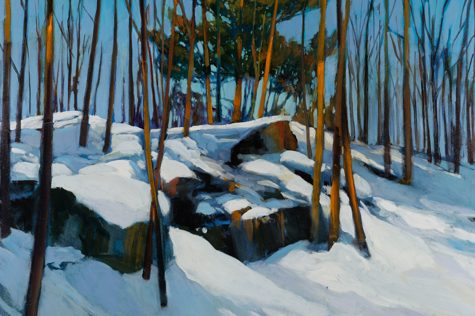 Winter Pine