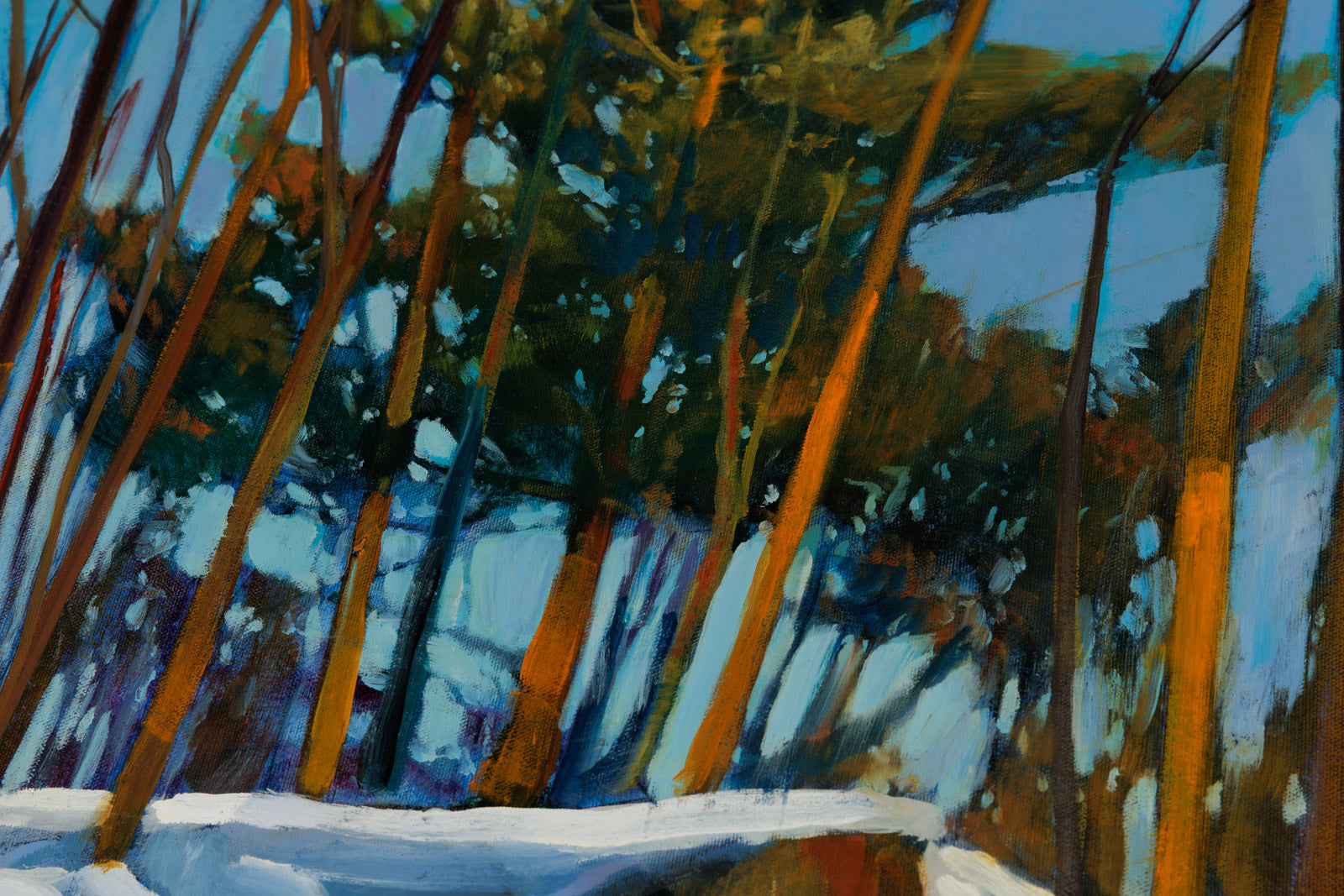 Winter Pine