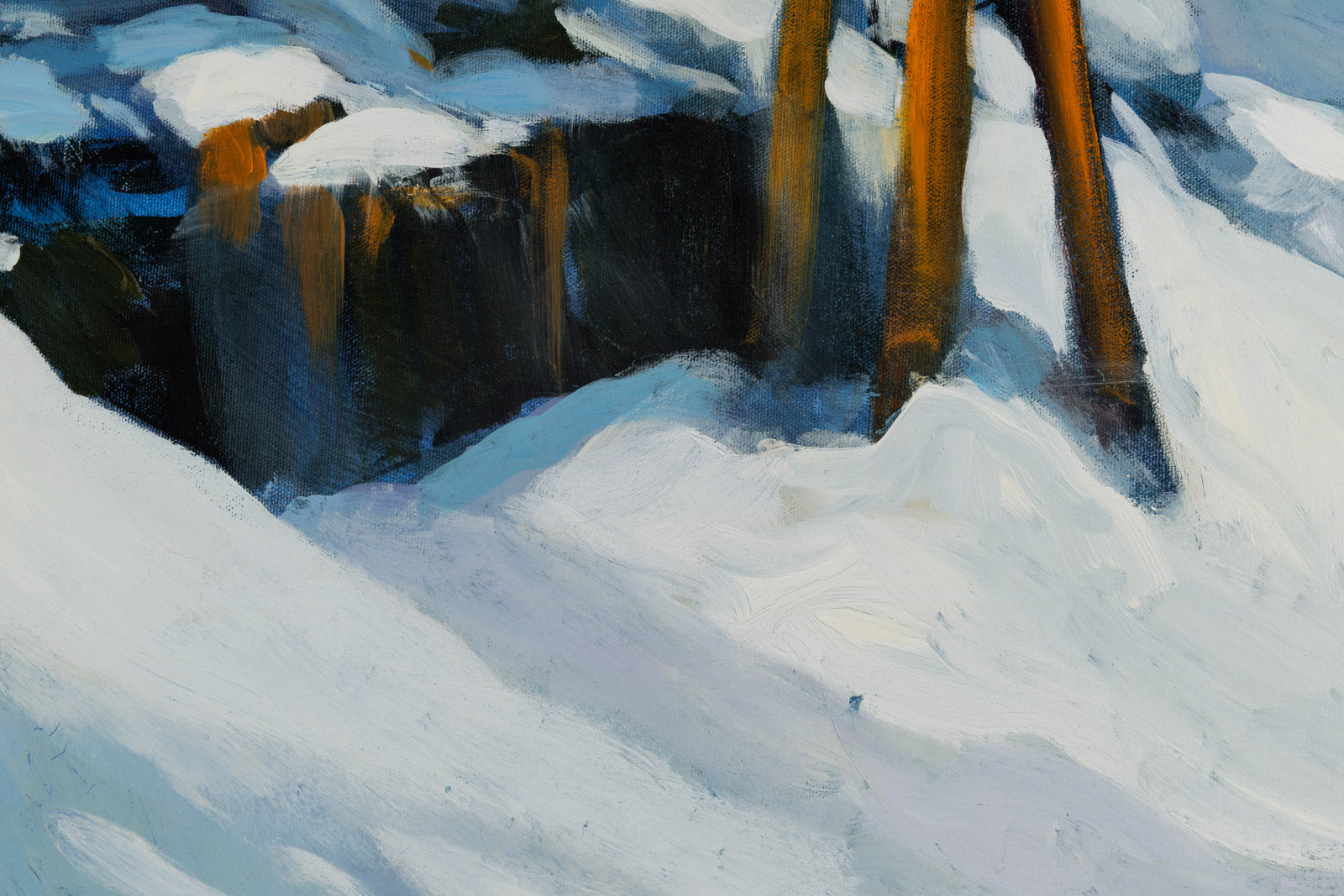 Winter Pine