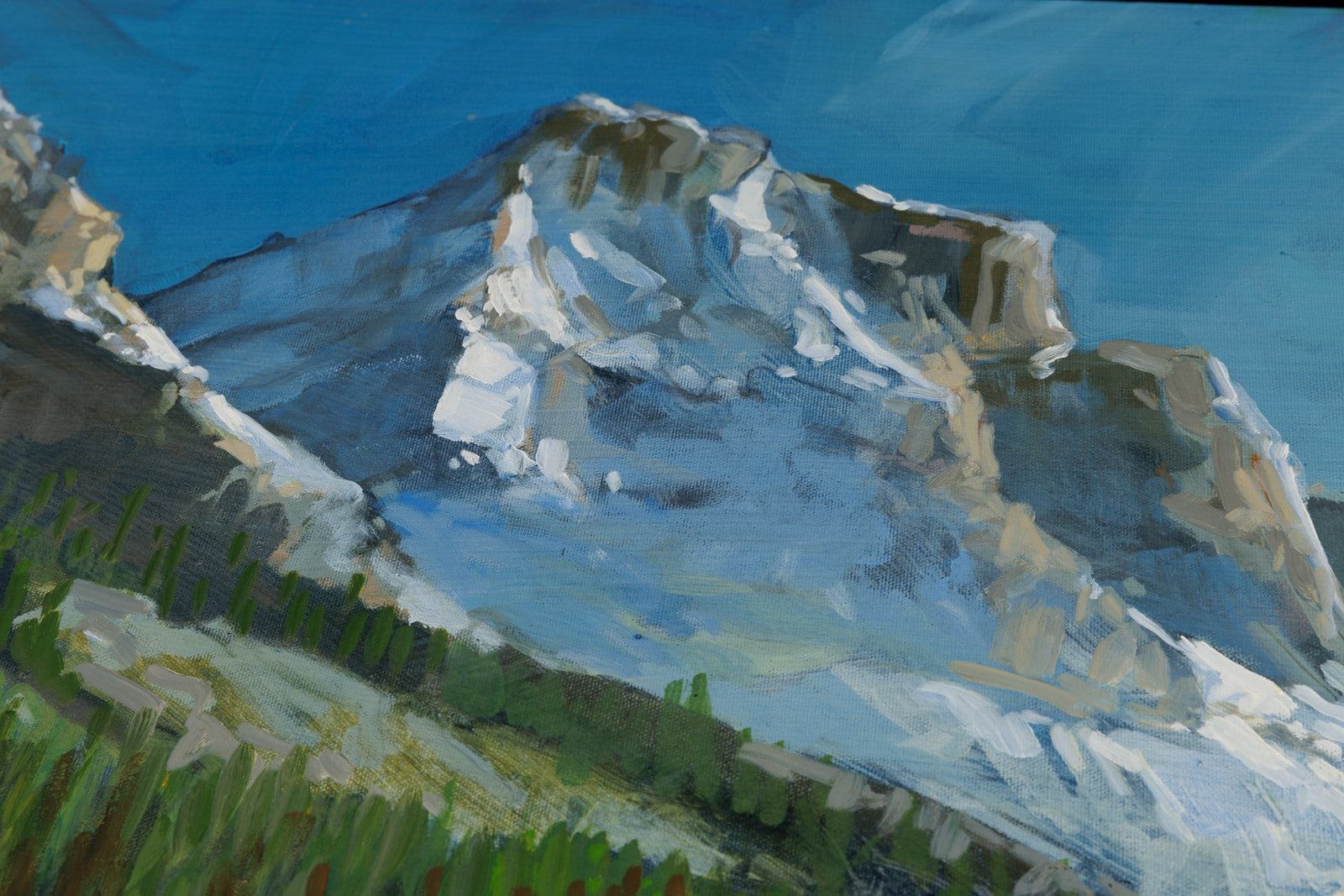 Mountain Lake Shoreline