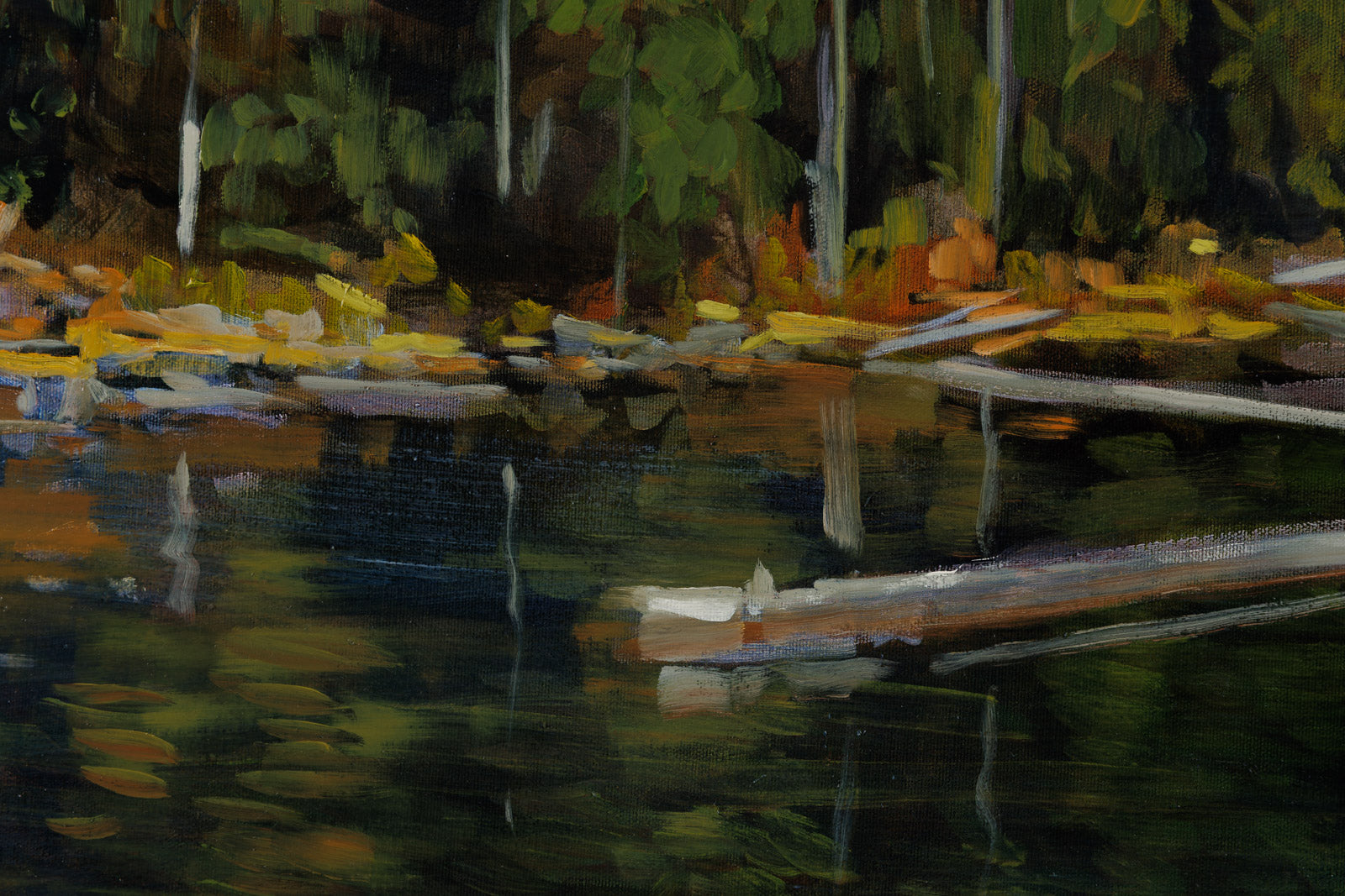 Mountain Lake Shoreline