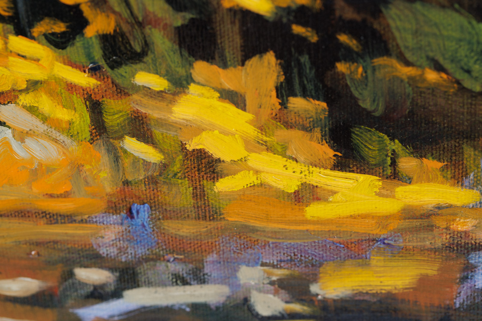 Mountain Lake Shoreline
