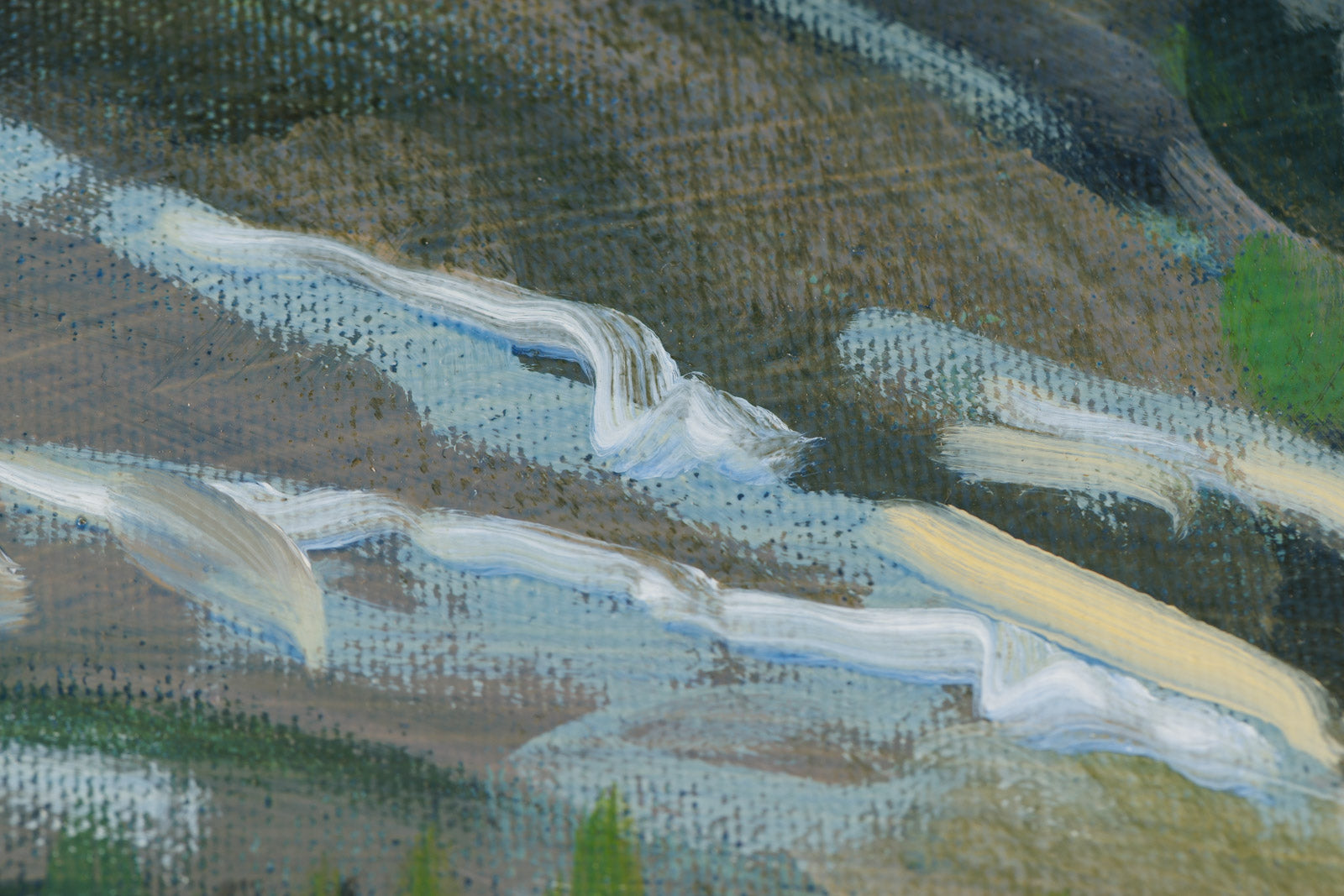 Mountain Lake Shoreline
