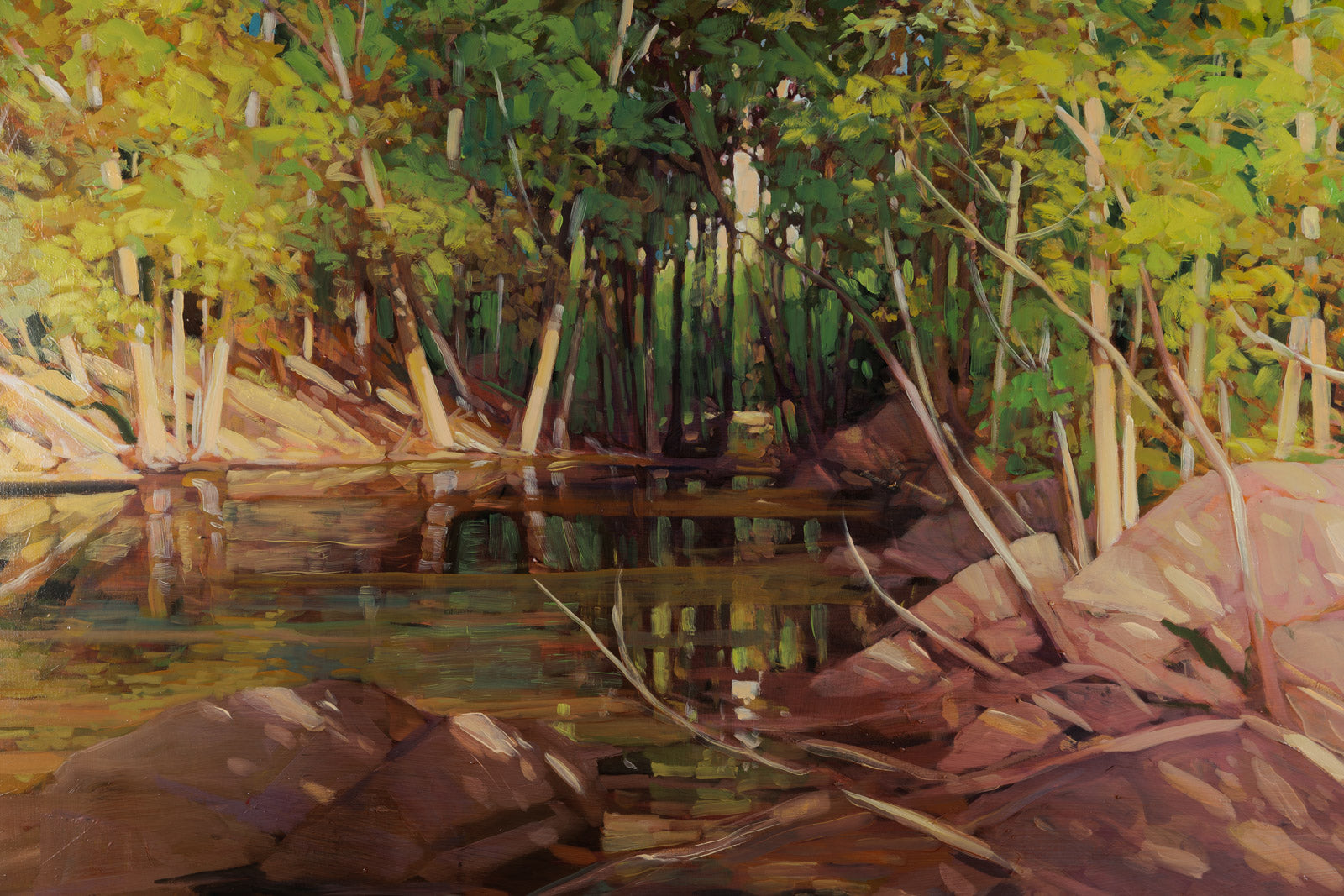 Otter Lake Forest