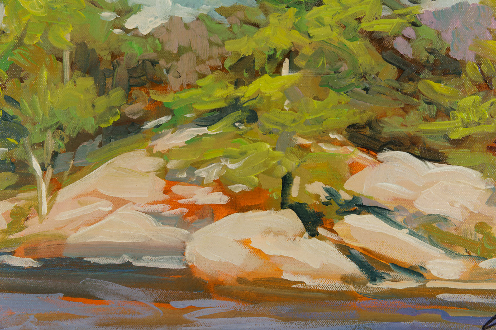 Pines On The Shore
