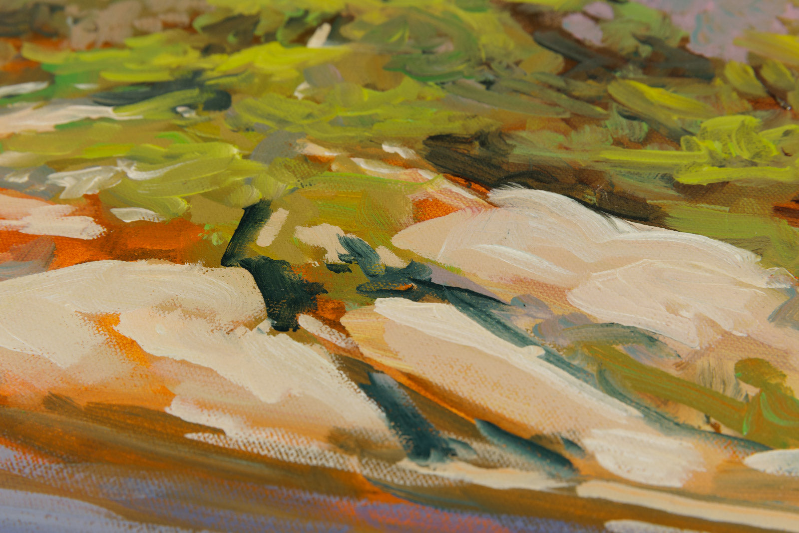 Pines On The Shore