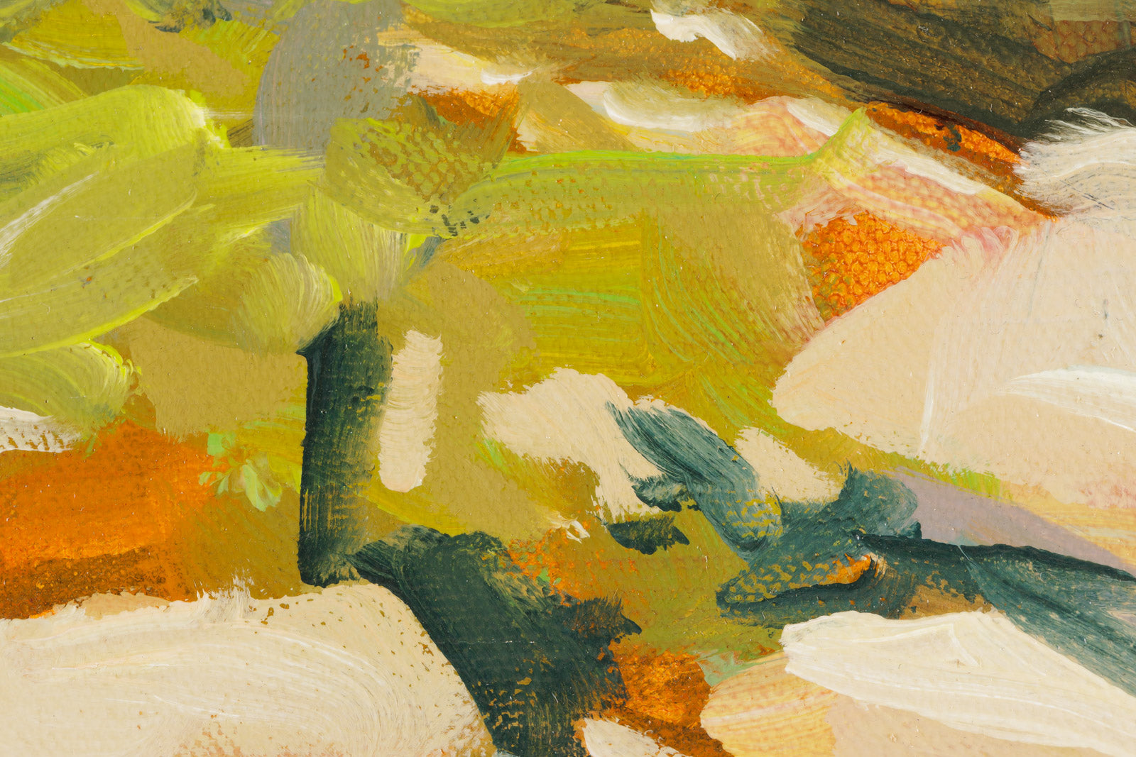Pines On The Shore
