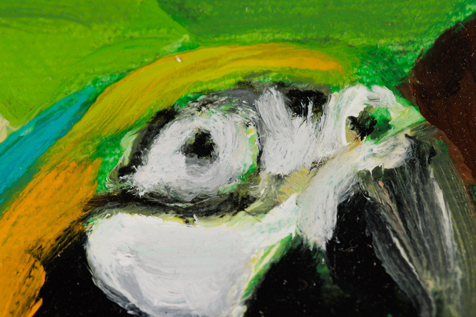Three MacCaws