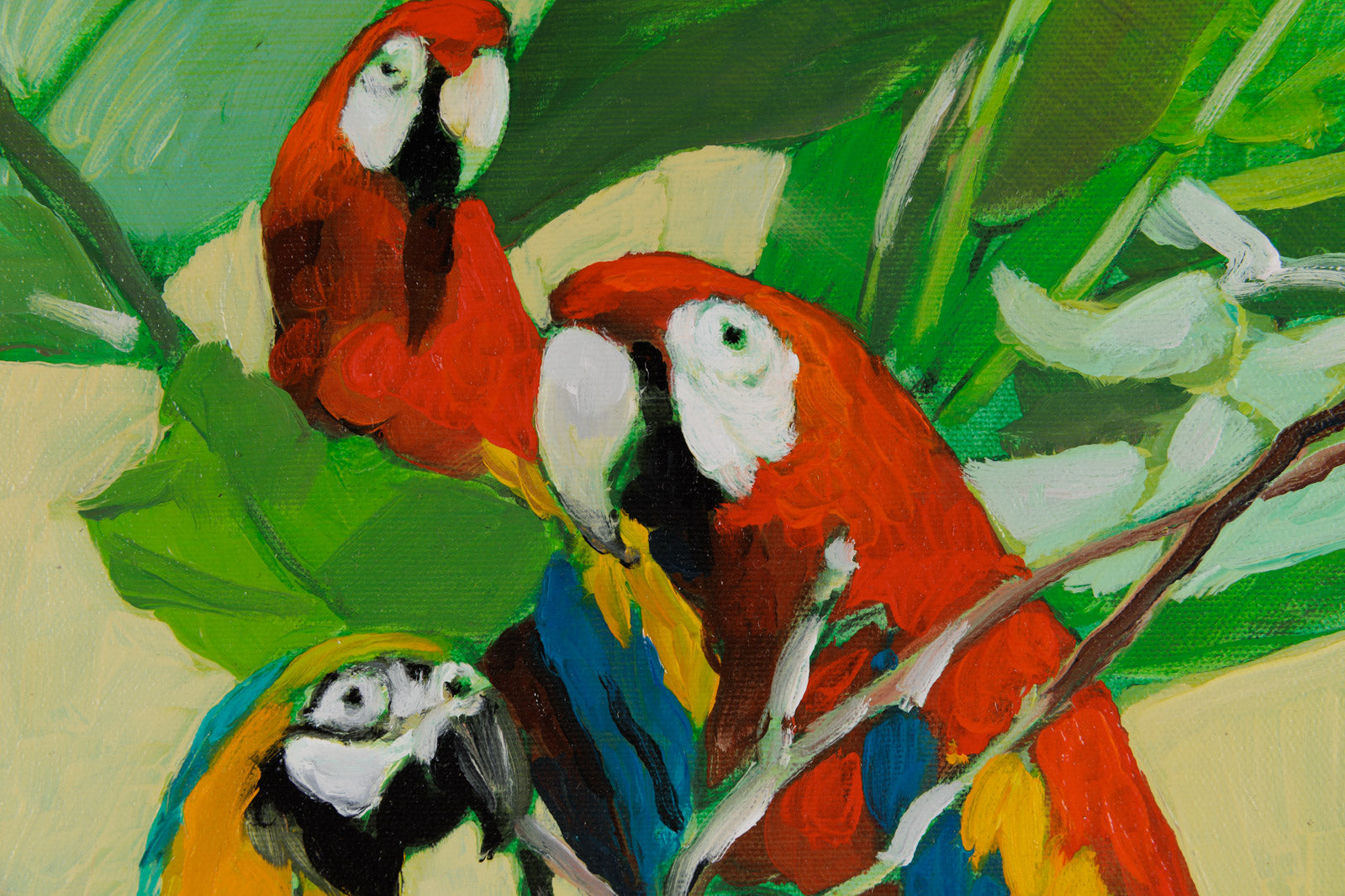 Three MacCaws
