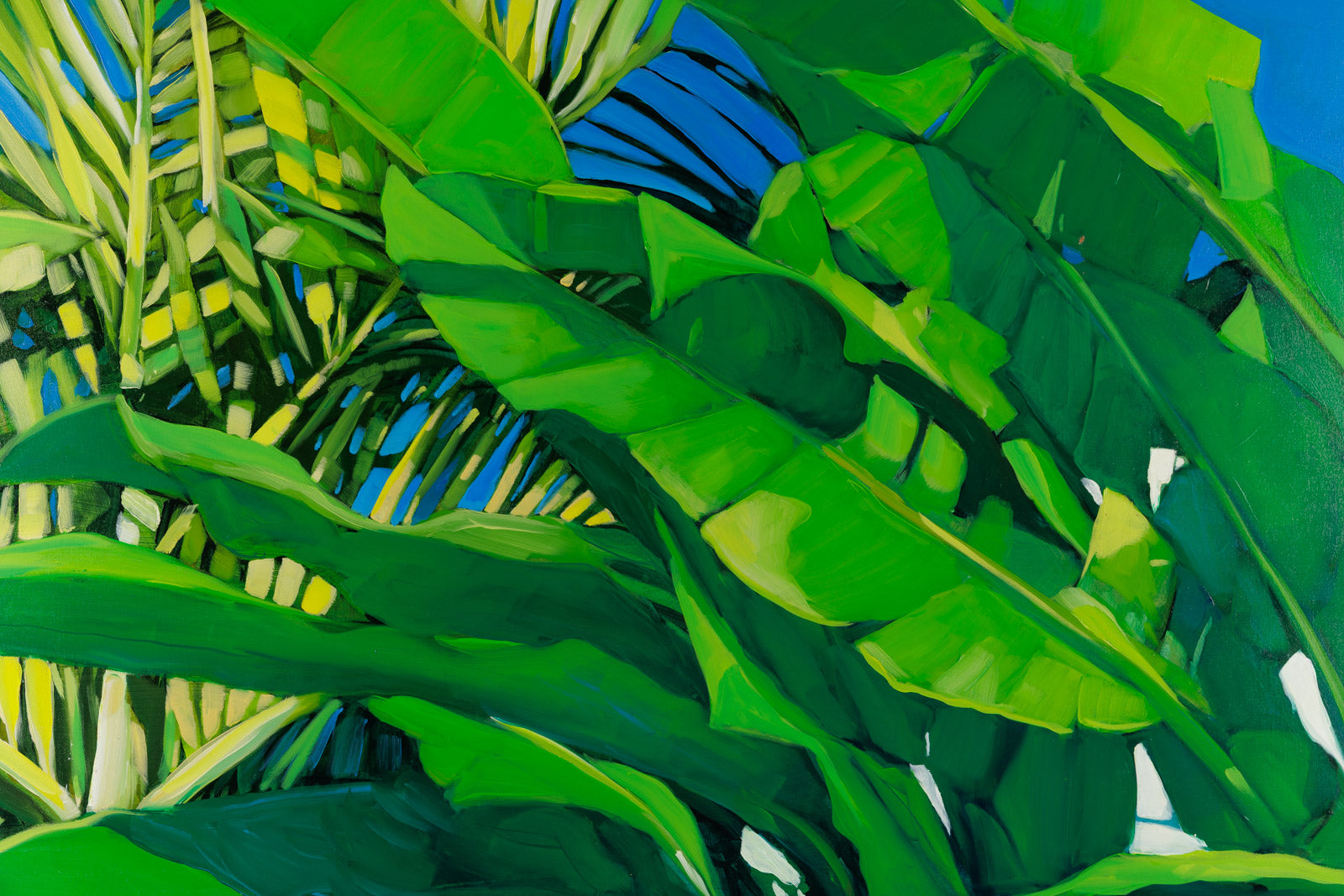 Sunny Palms II