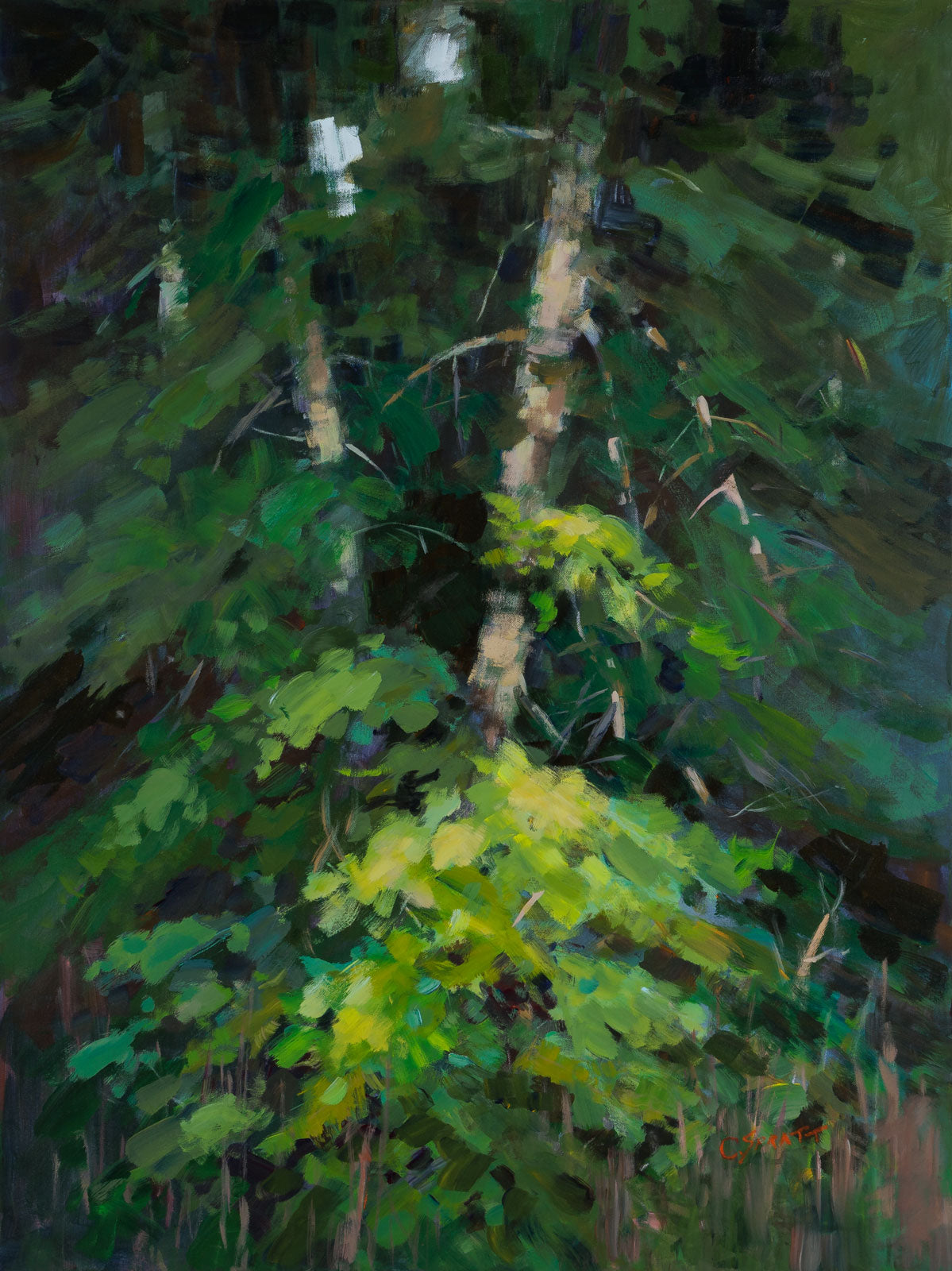 Opeongo Grace