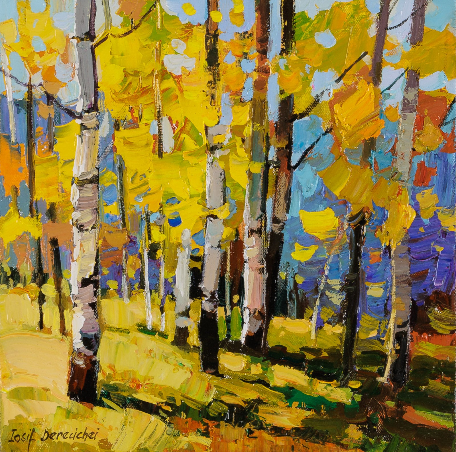 Afternoon In The Forest