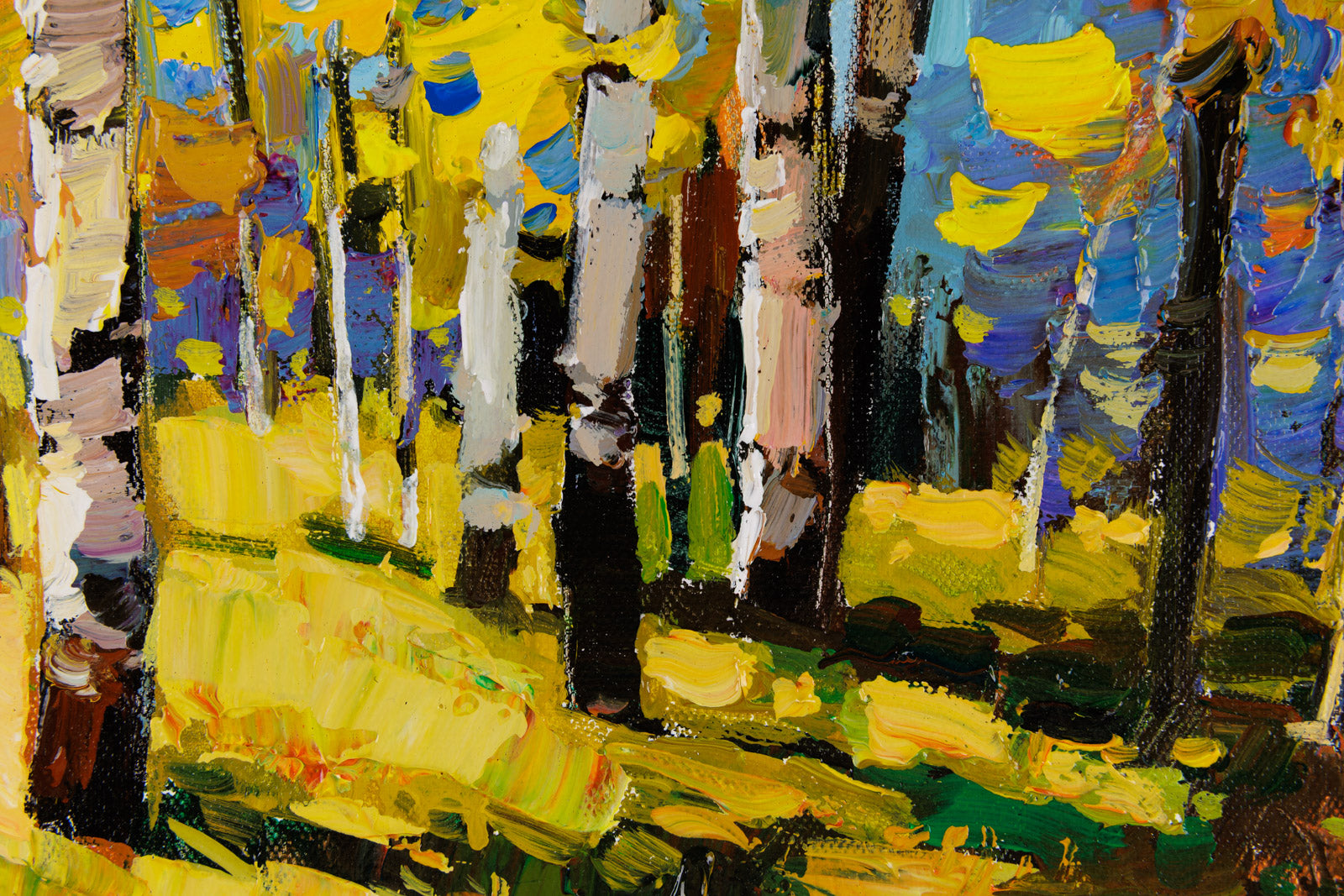 Afternoon In The Forest