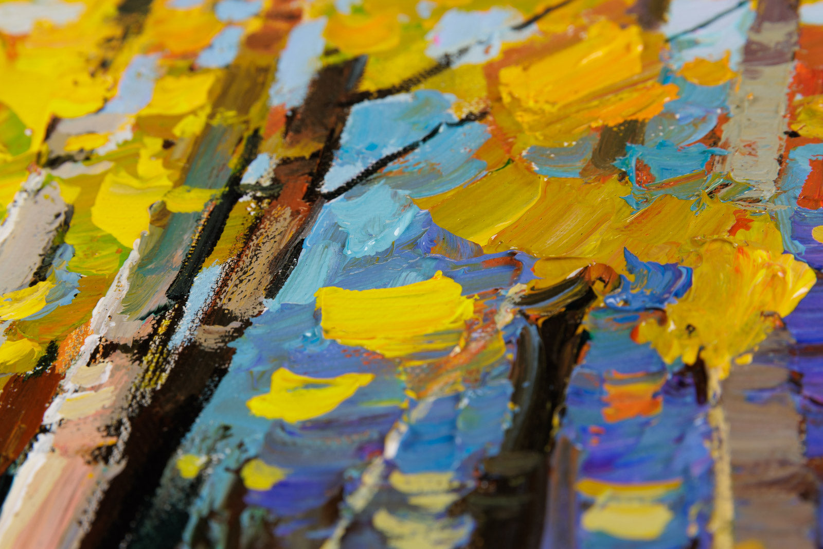 Afternoon In The Forest