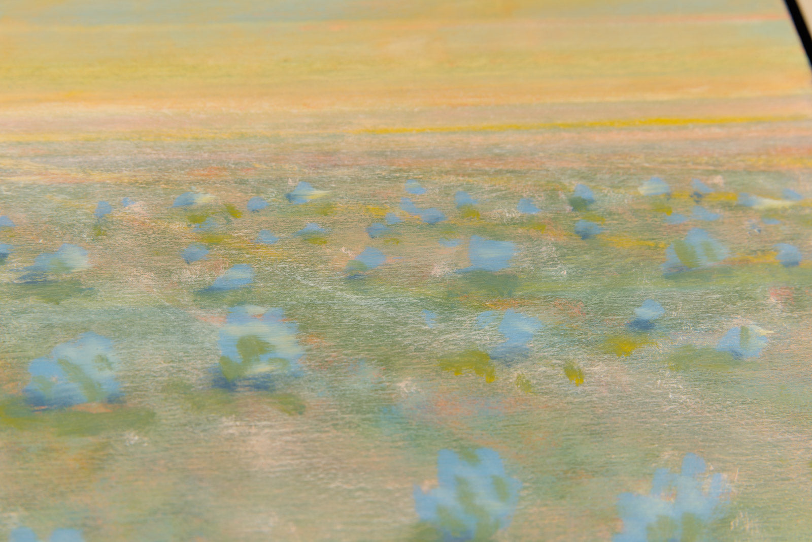 Lines & Land