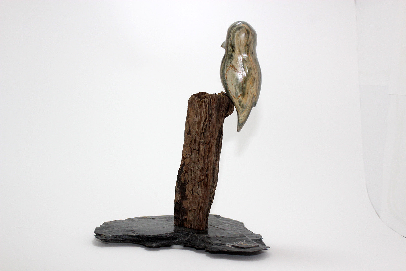 Birds “Quiet Please” by Raymond Dubois.