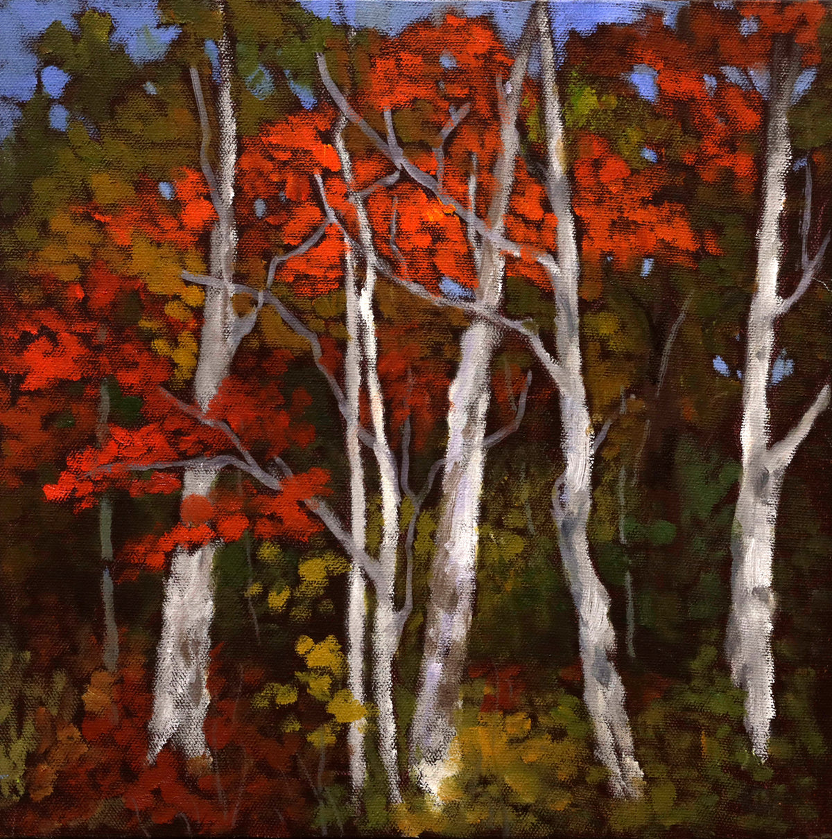 Kari Duke, "Ontario Colours 7," oil on canvas, 12 x 12 in, contemporary landscape painting, framed