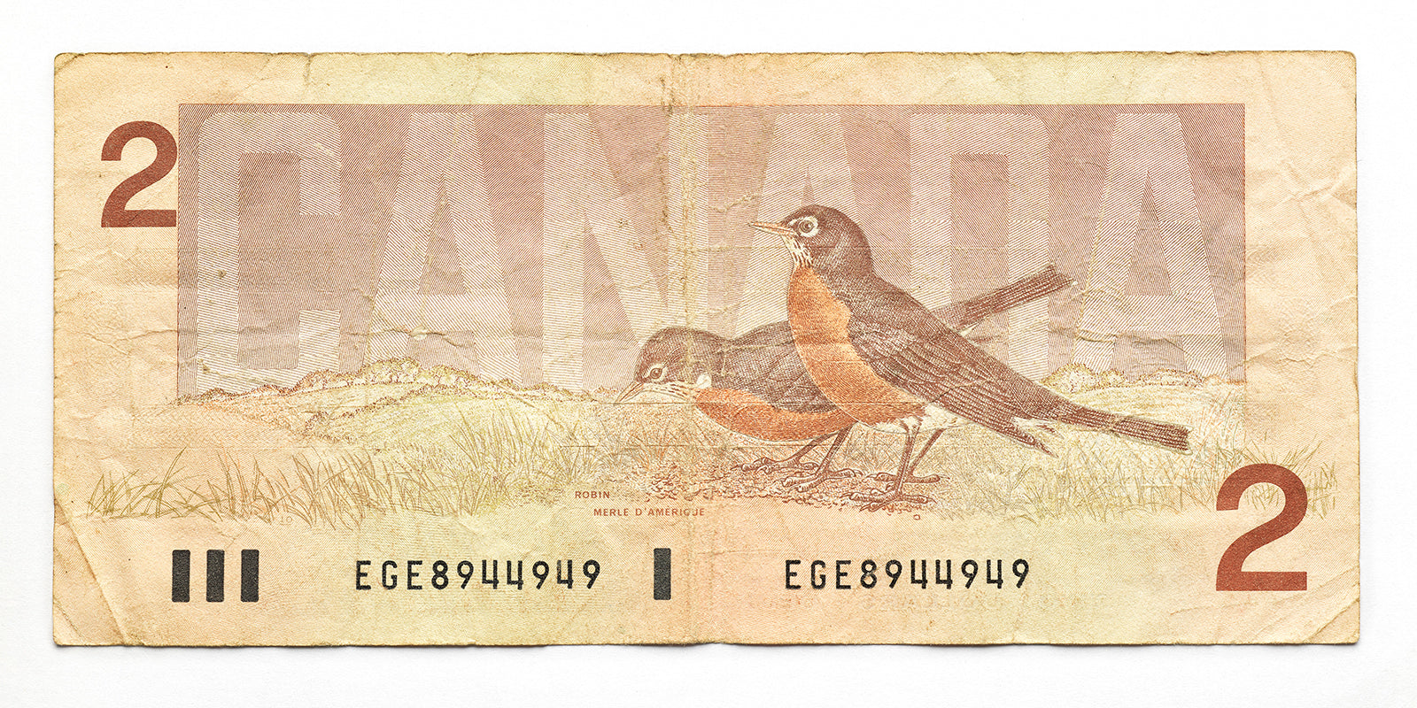 Still-Life “$2 Bill” by Peter Andrew – digital print on paper.