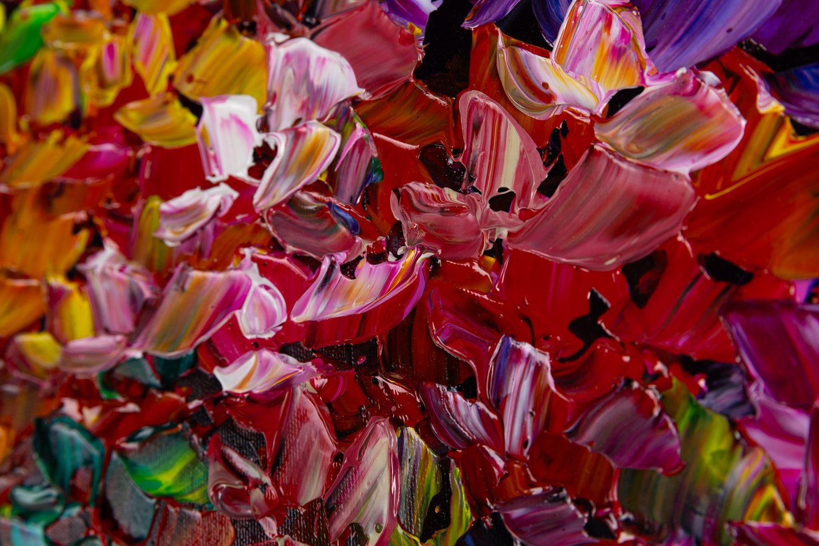 Hydrangea 190226