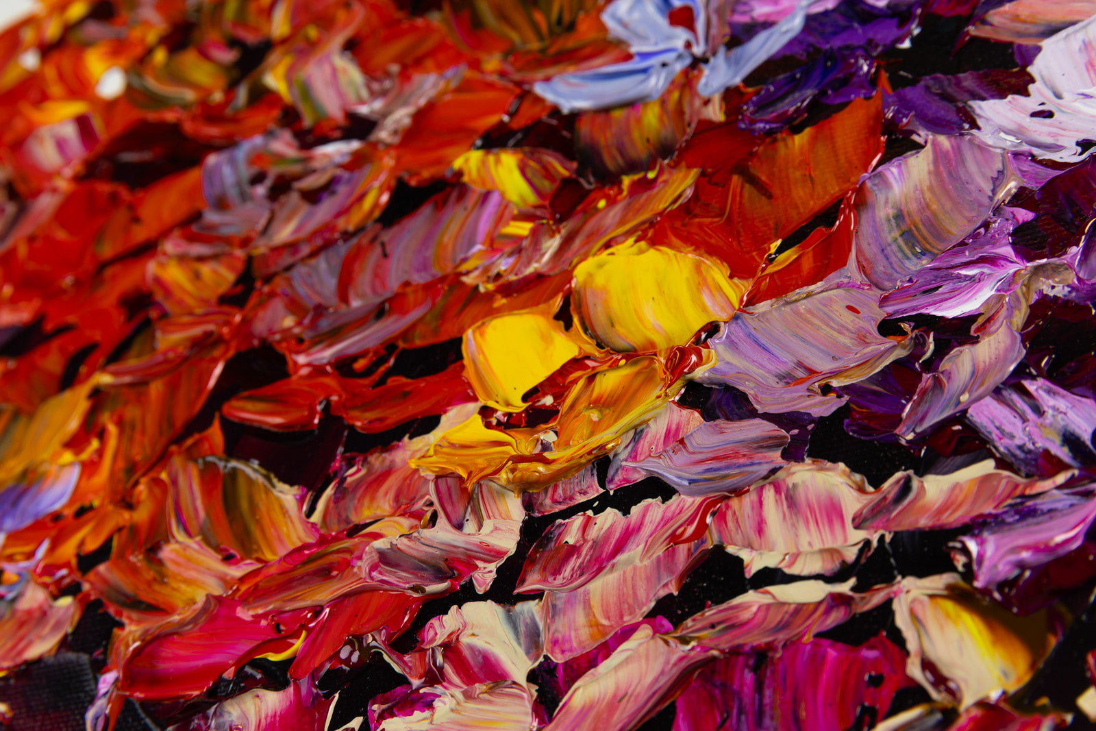 Hydrangea 192404