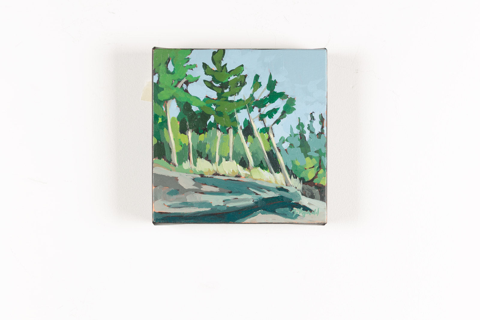 Cedar & Shoal