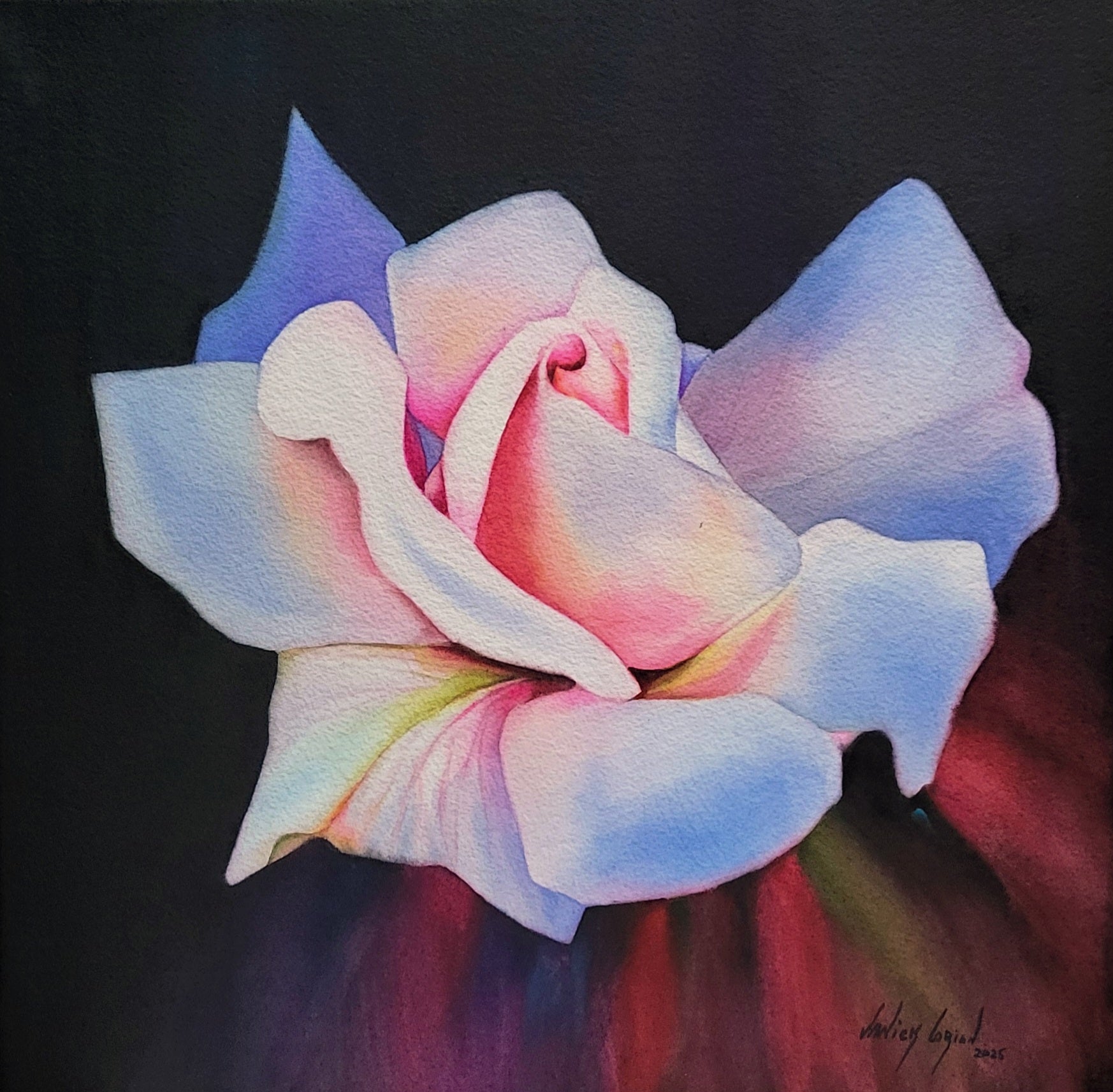 Lumiere De Rose