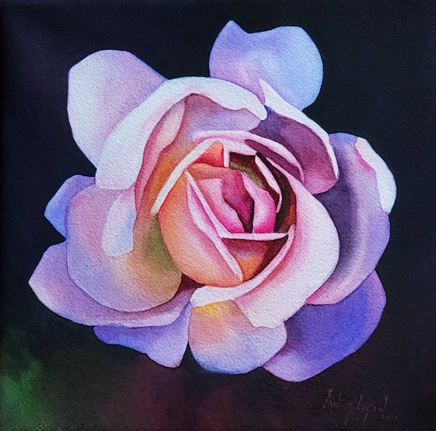 Rainbow Rose