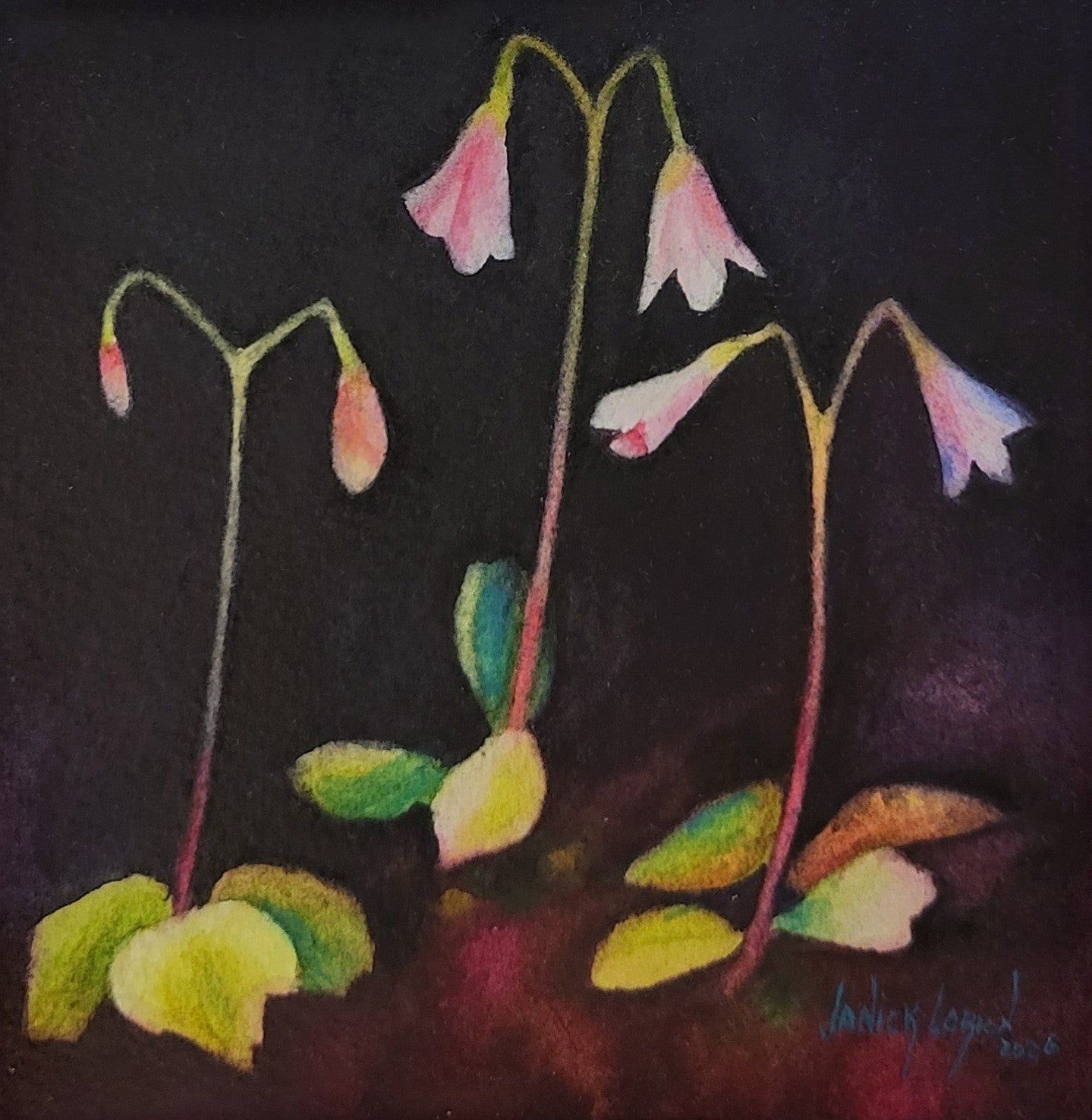 Twin Flowers